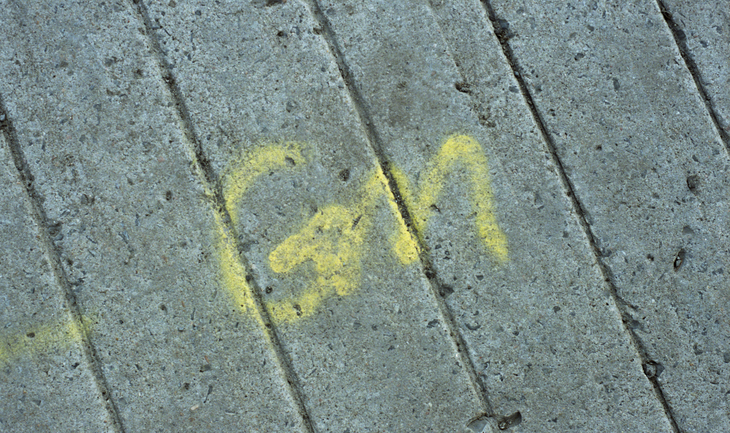 GM No. 6