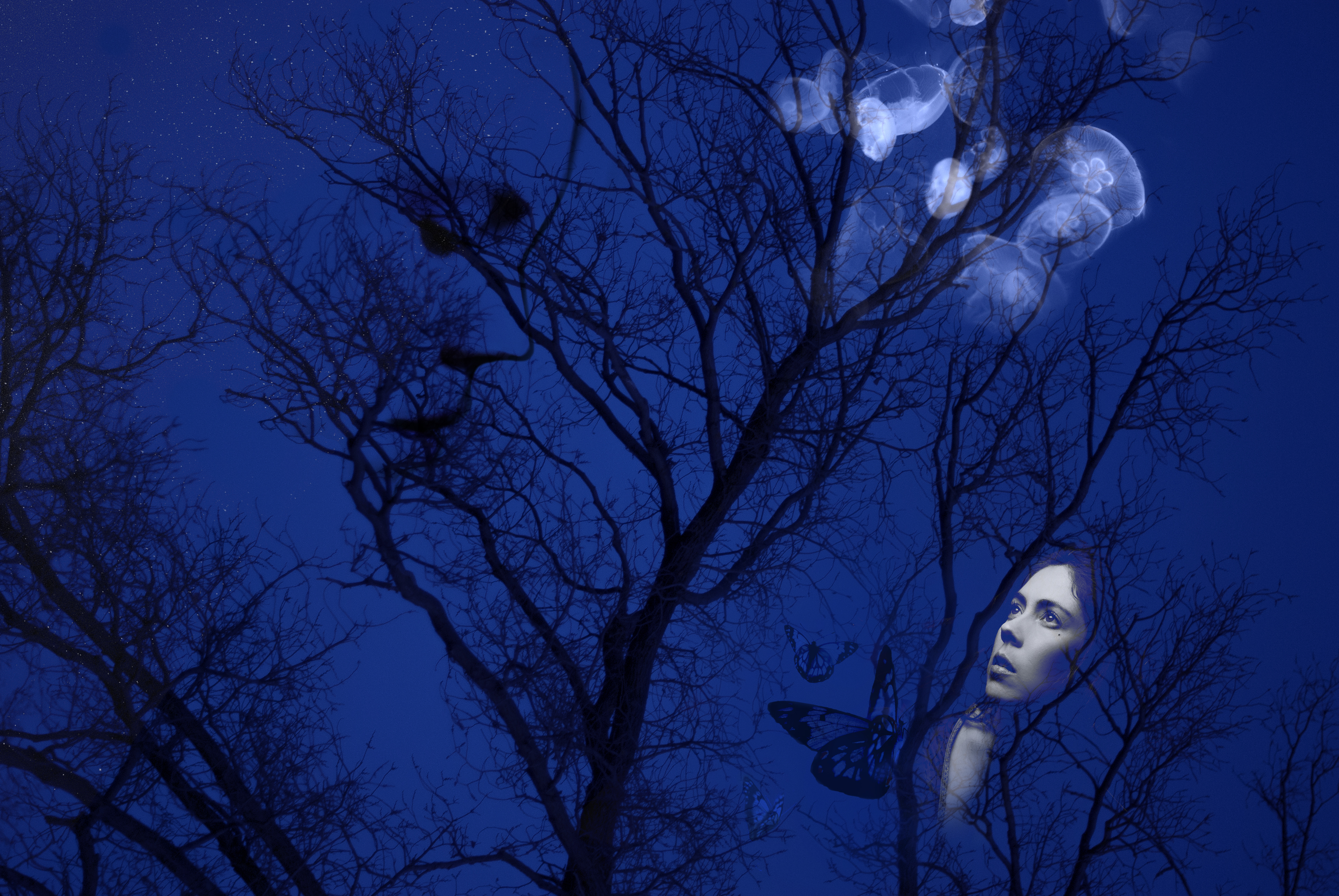 Faraway tree