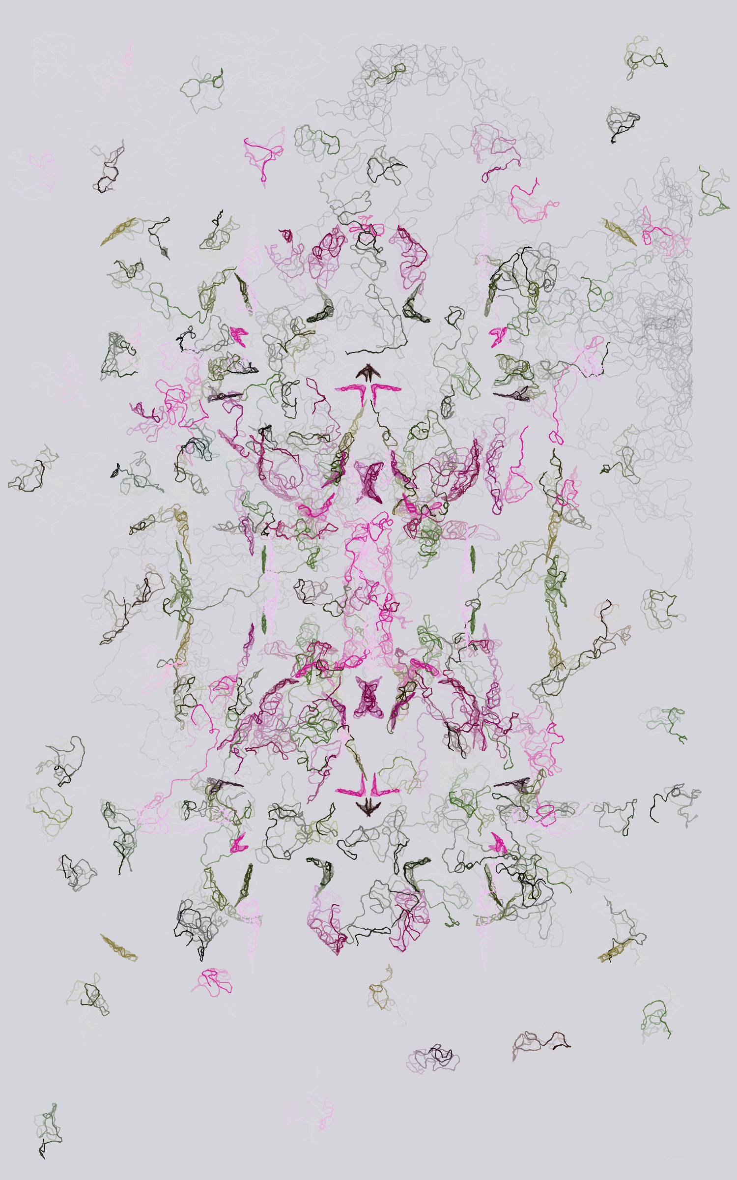 Orchids #5