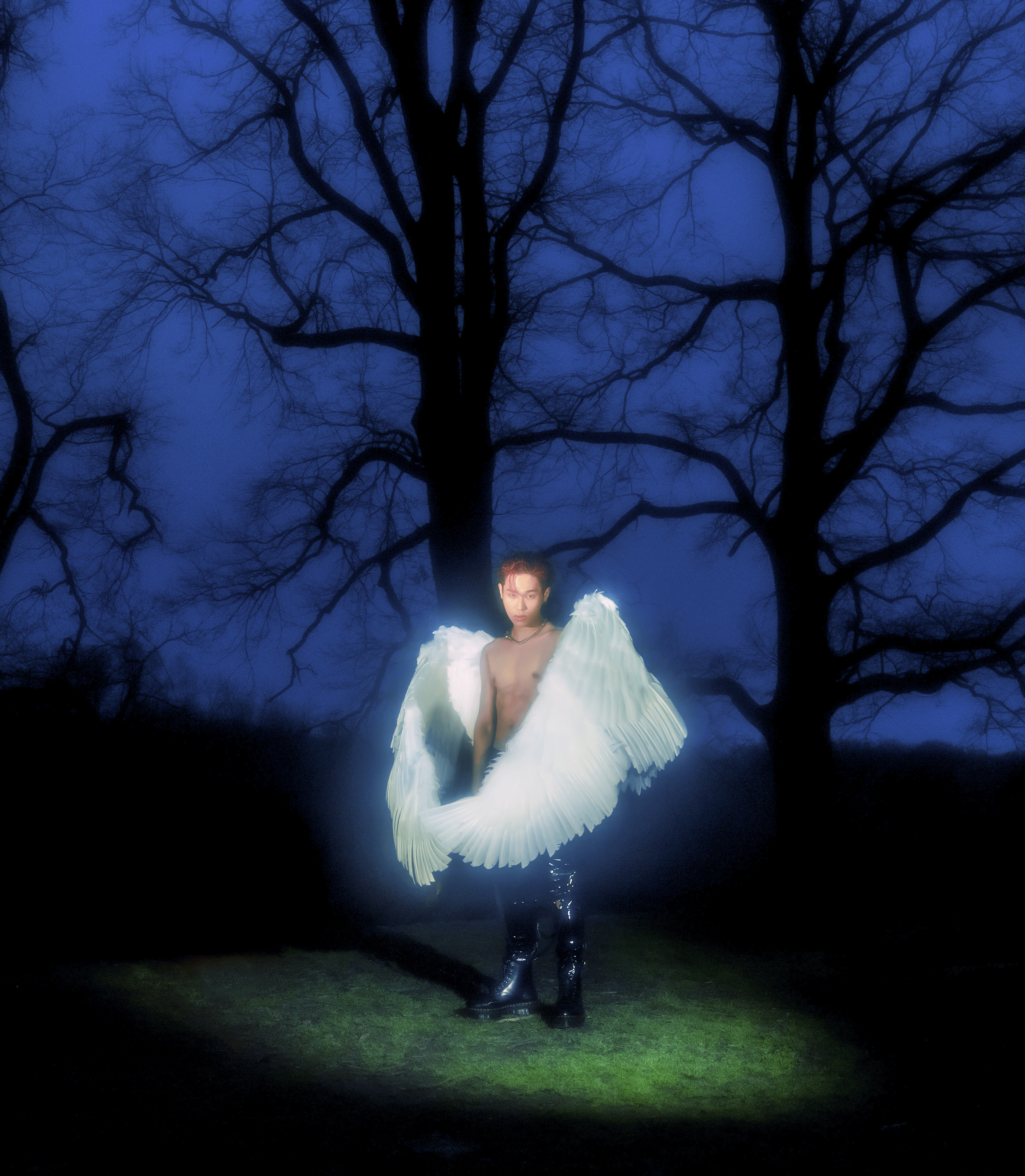 LACRIMOSA.
