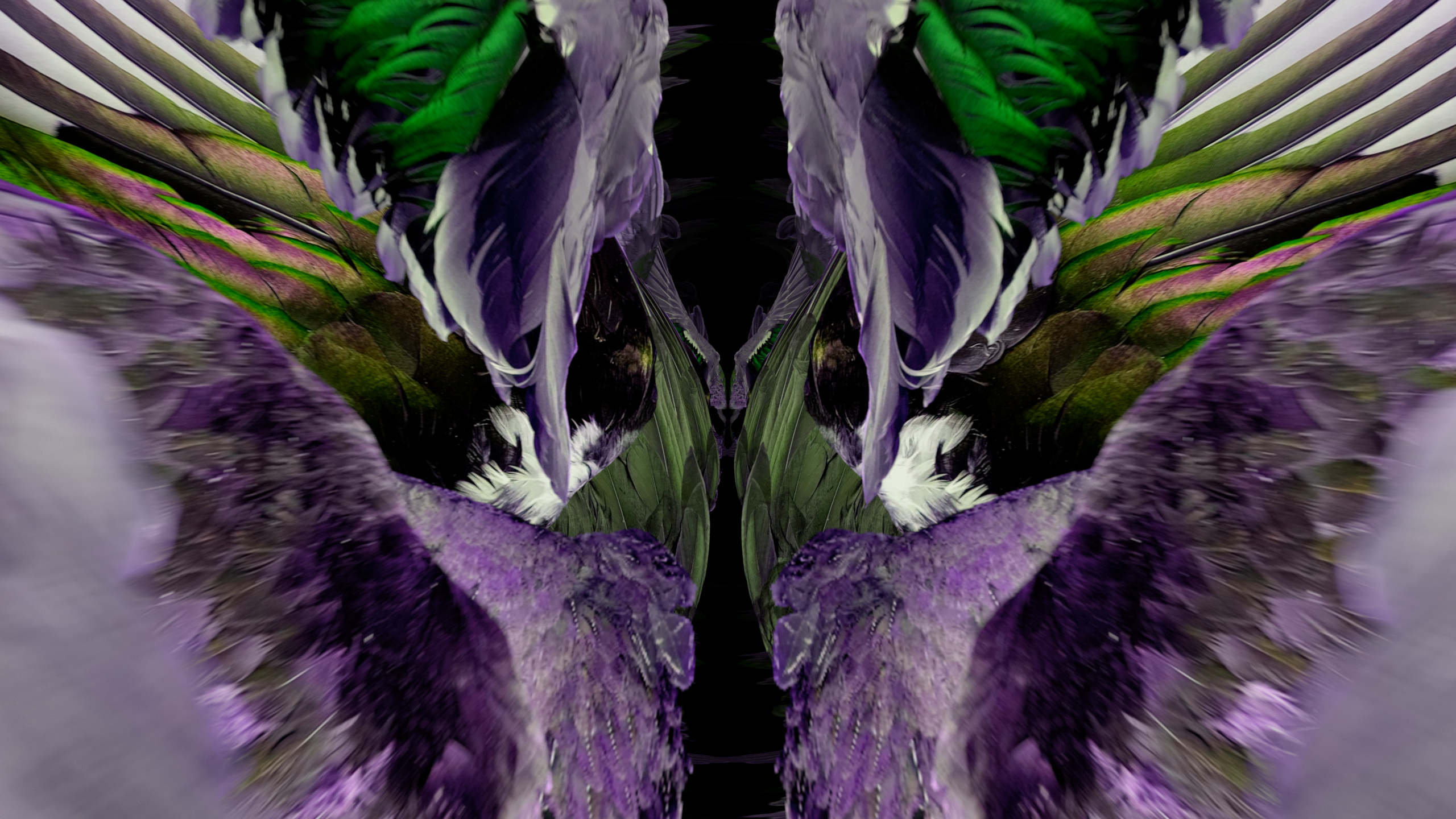 Fuga delle Sirene XC