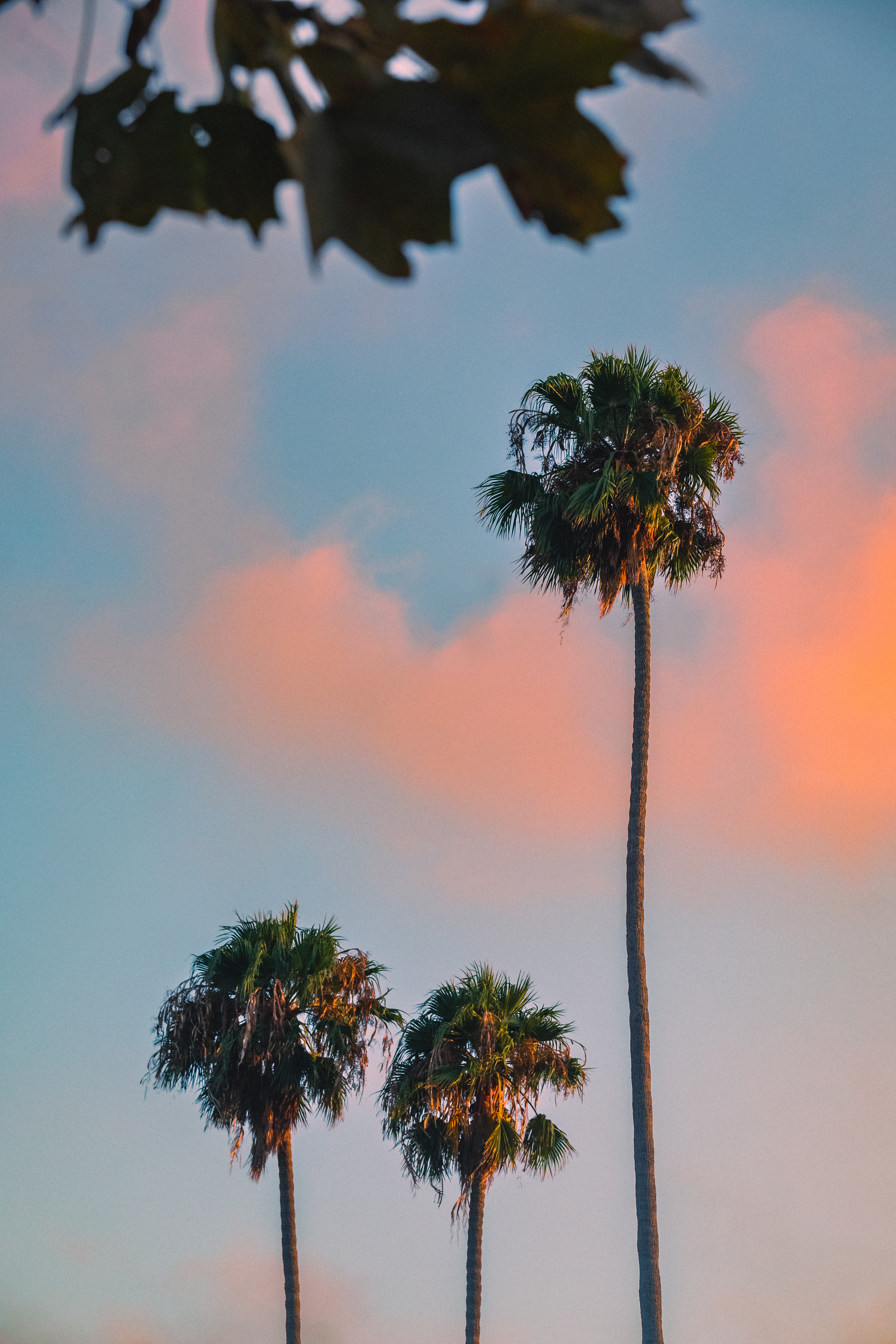 This Was Not A Prompt #66/100