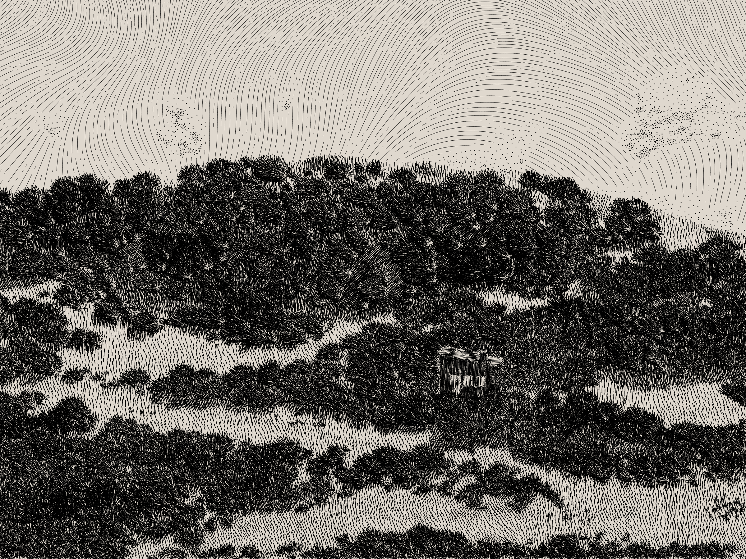 Life and Love and Nothing #49