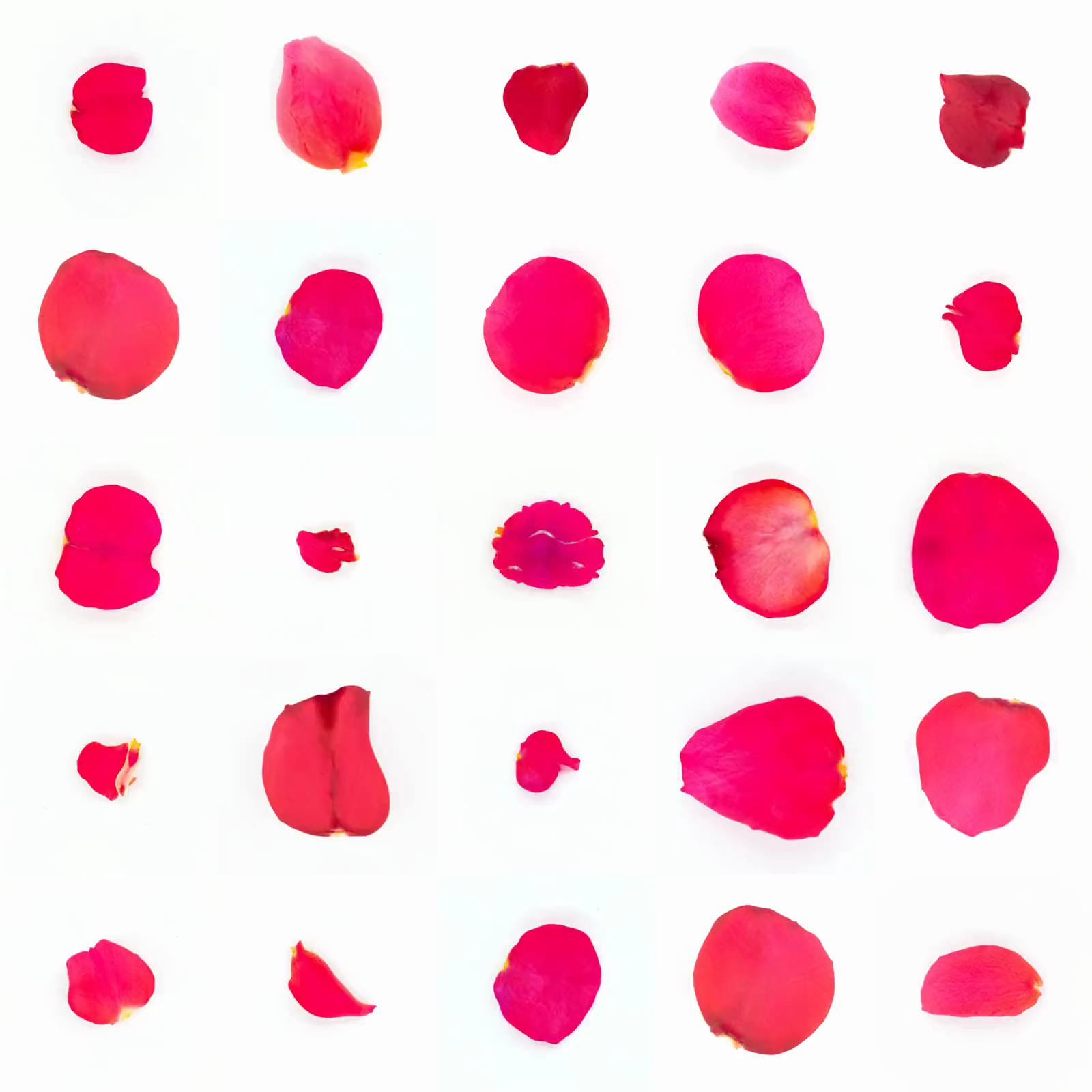 Infinite Petals 5x5#2195