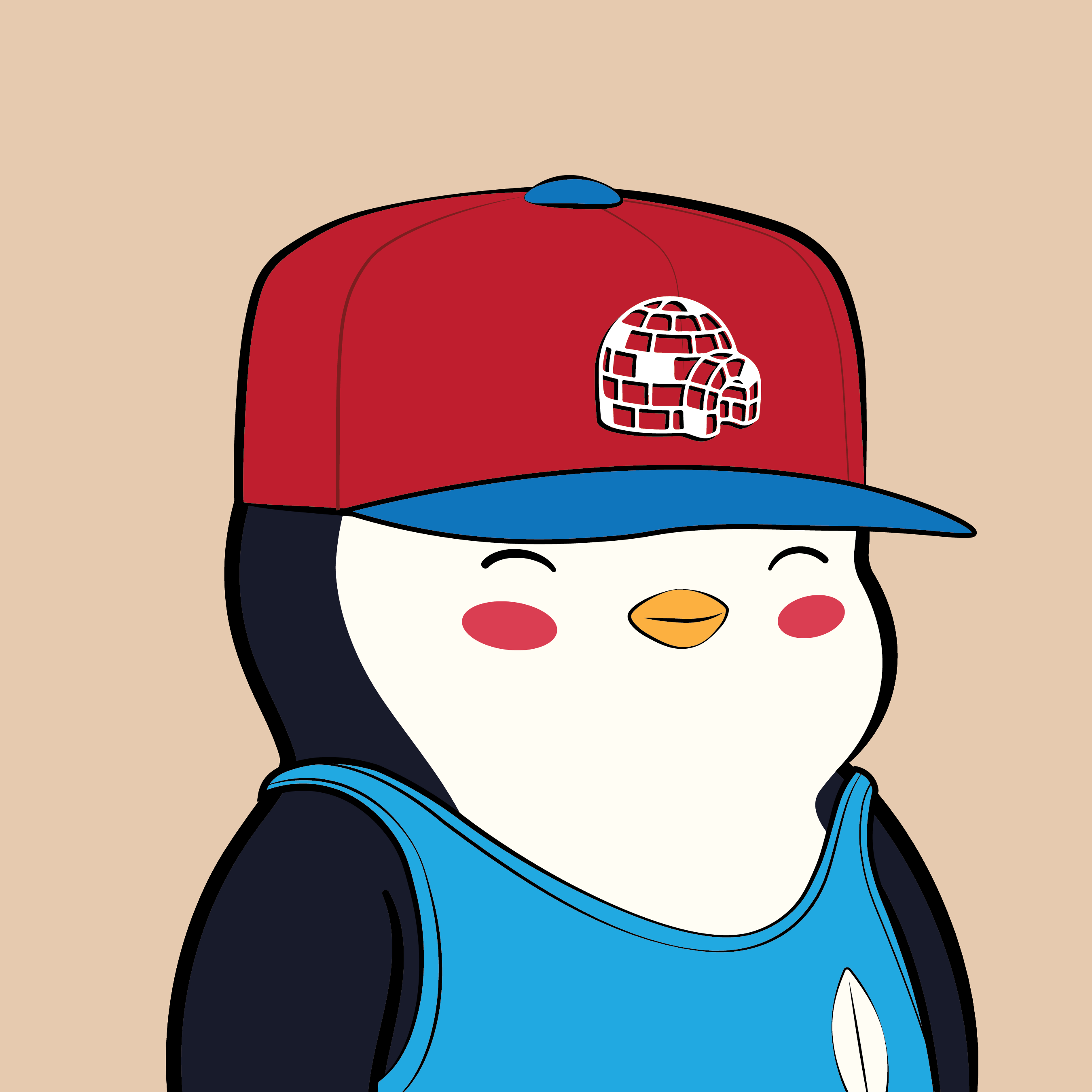 Pudgy Penguin #816