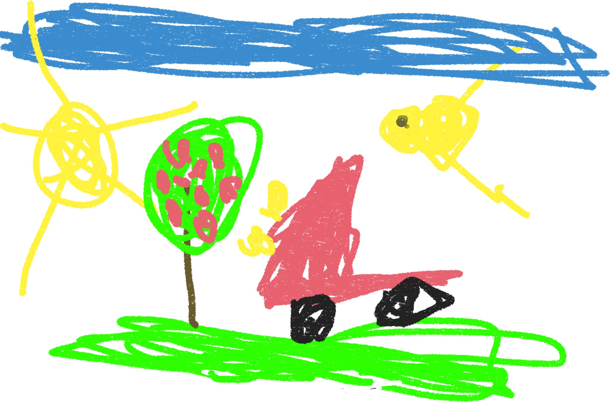 Bird
