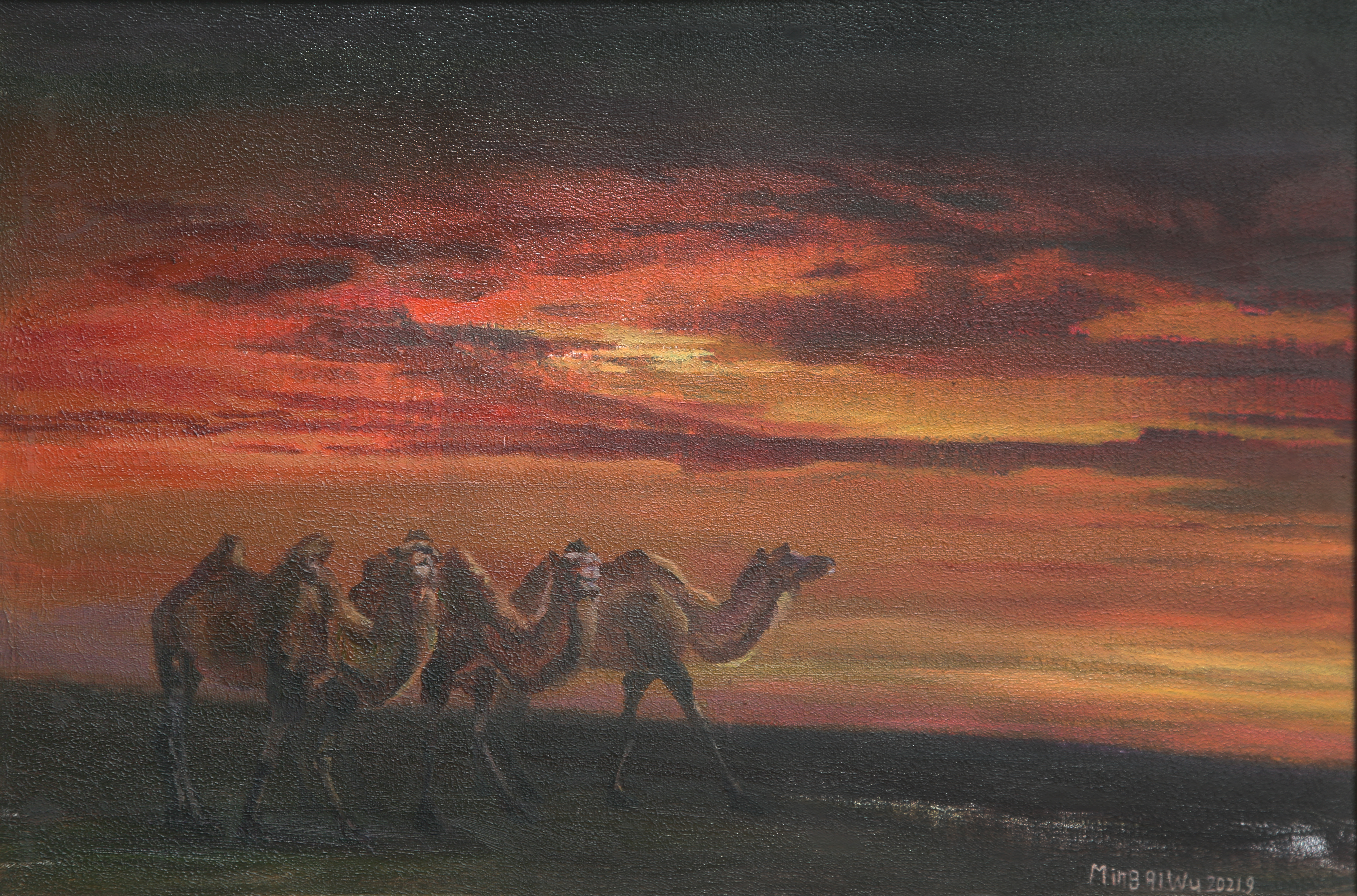 Evening wind brushes the sand