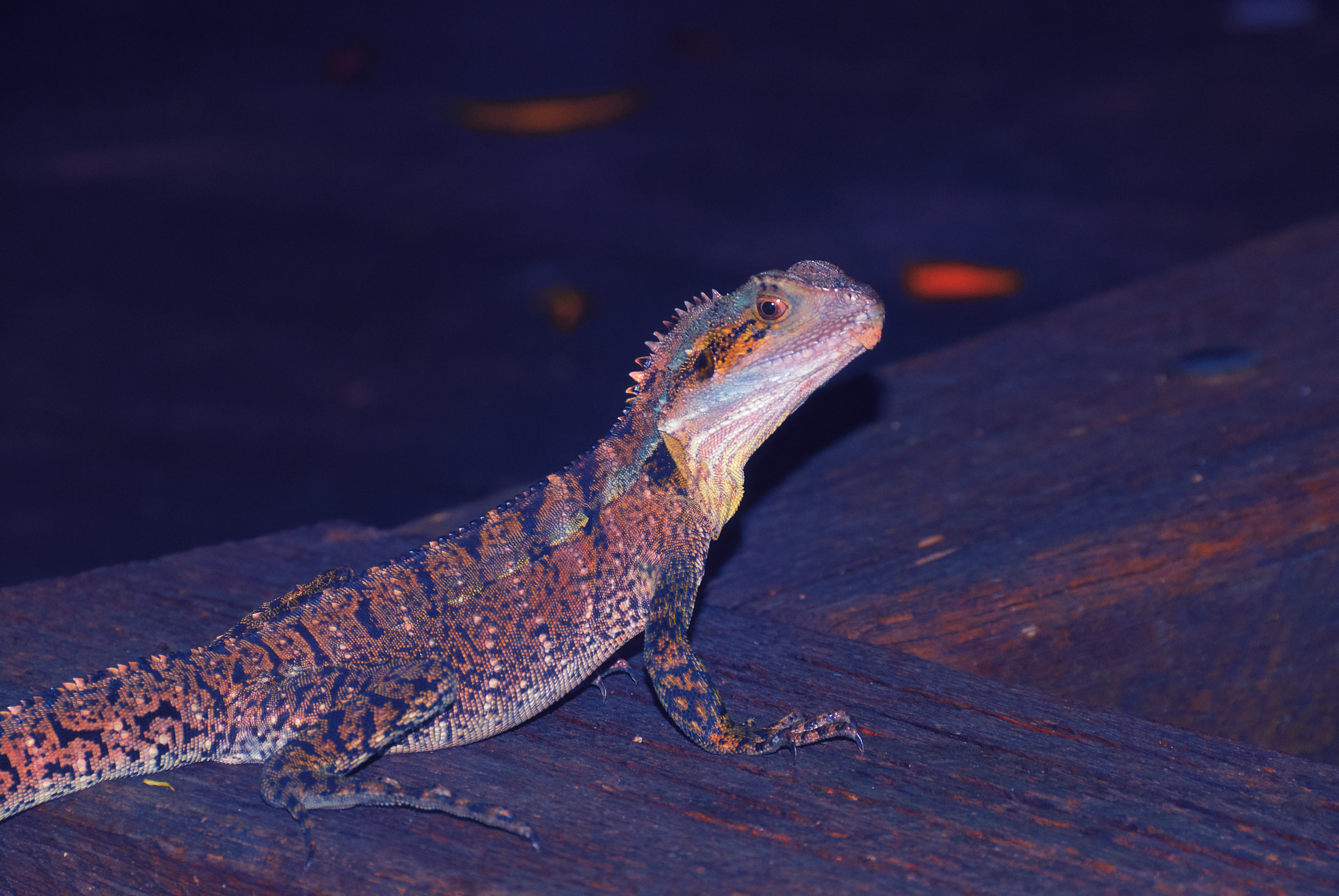 ALIEN // RANDOMLY ACCESSED MEMORIES 01