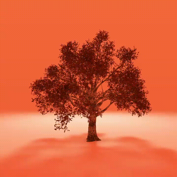 Season