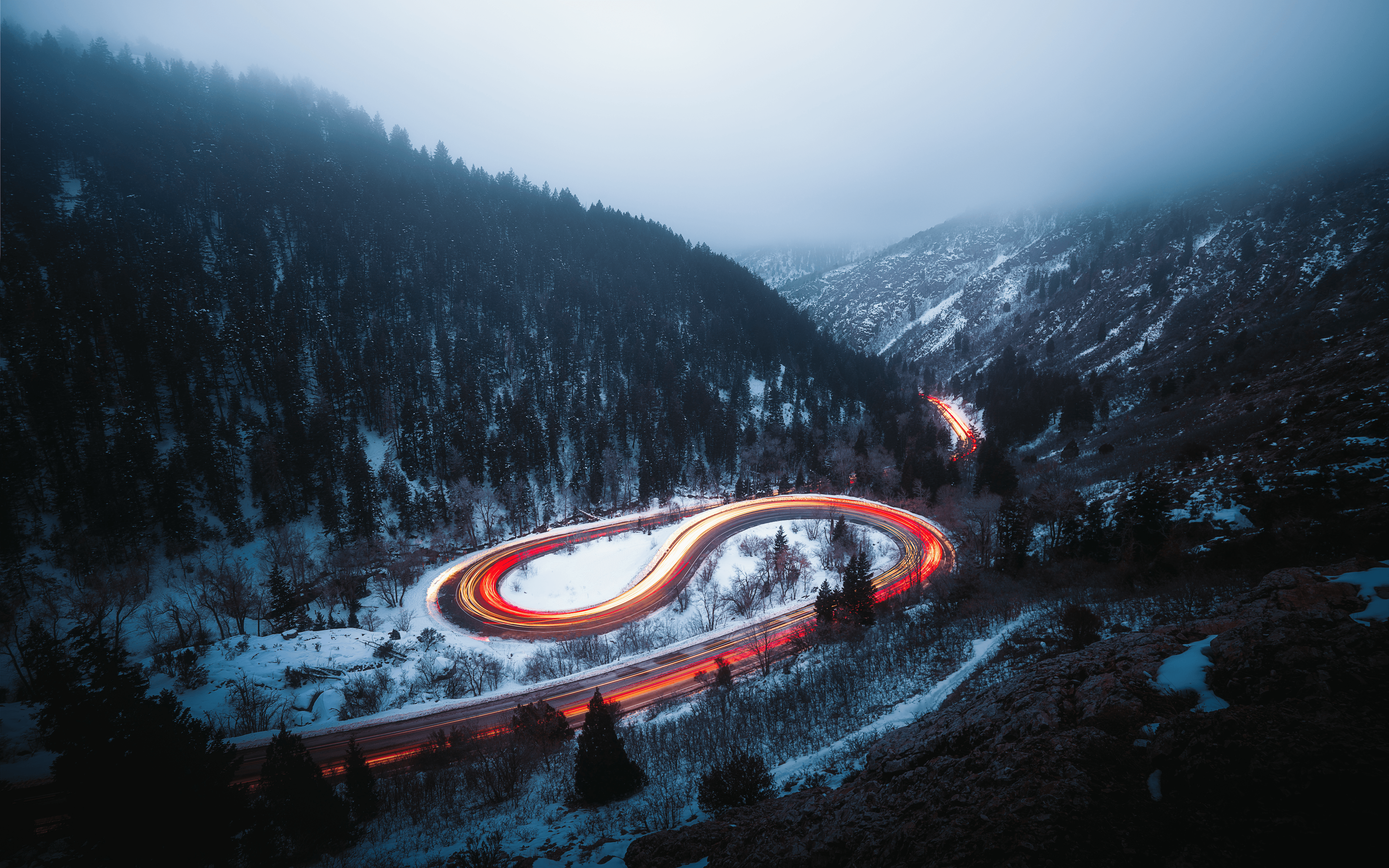  Southwest Wonders #43. Foggy Doggy