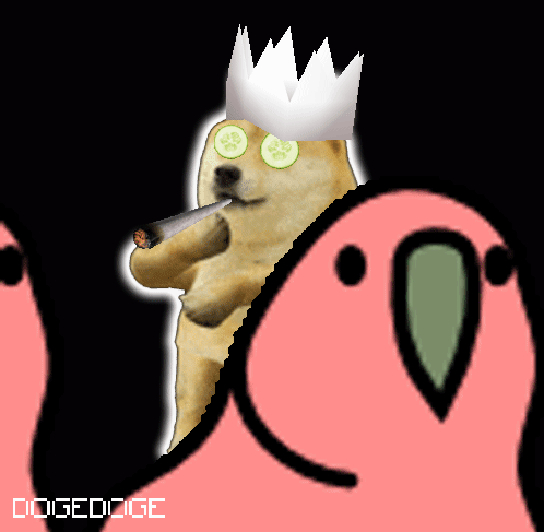 DOGEDOGE #1348