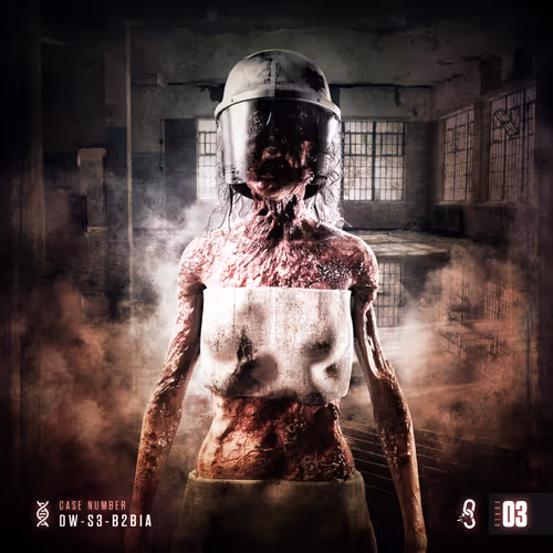 Stage 03: DW-S3-B2B1A