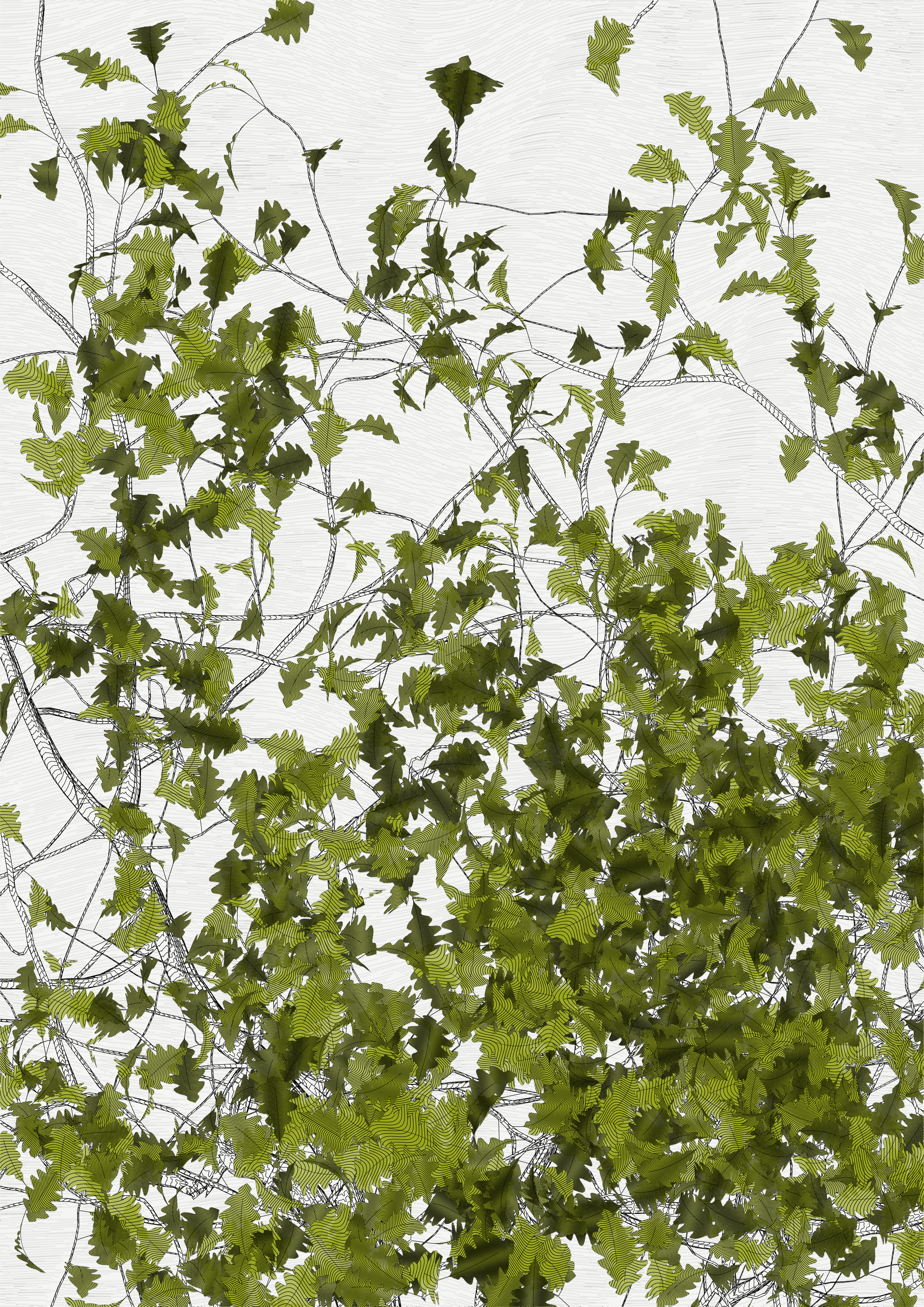 The Oak Tree part #-1,+2