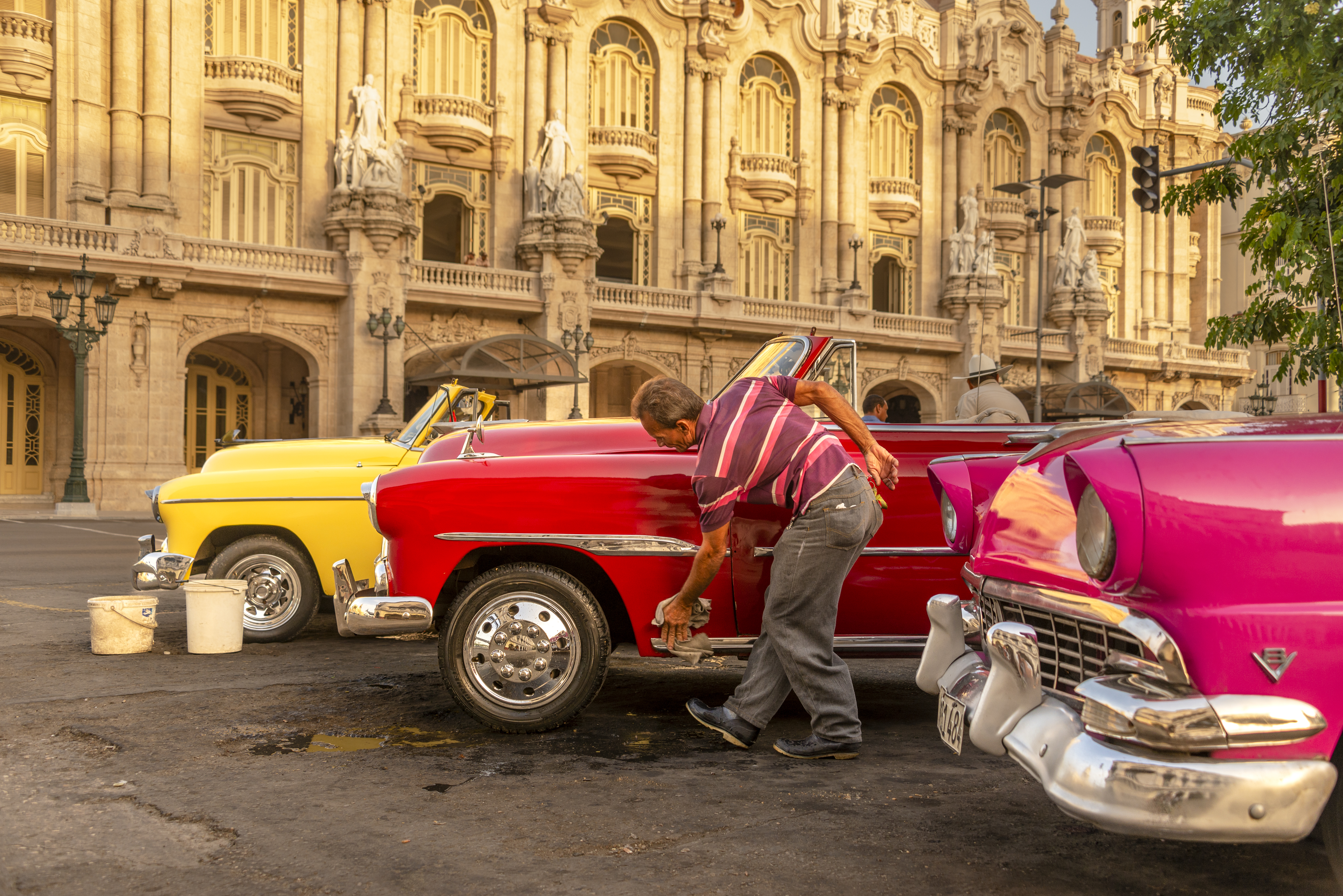 Washing Vintage Cars