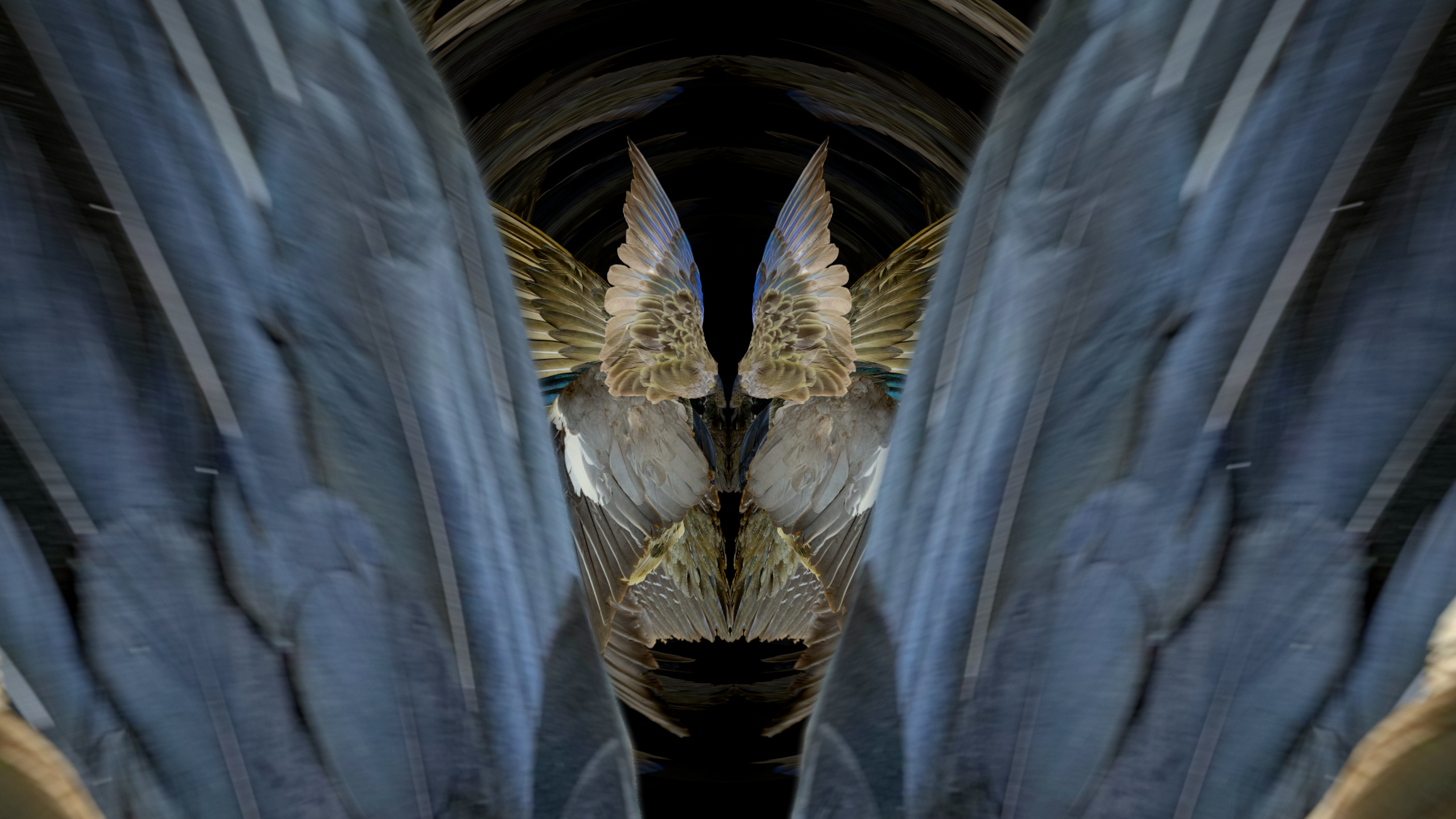 Fuga delle Sirene XX