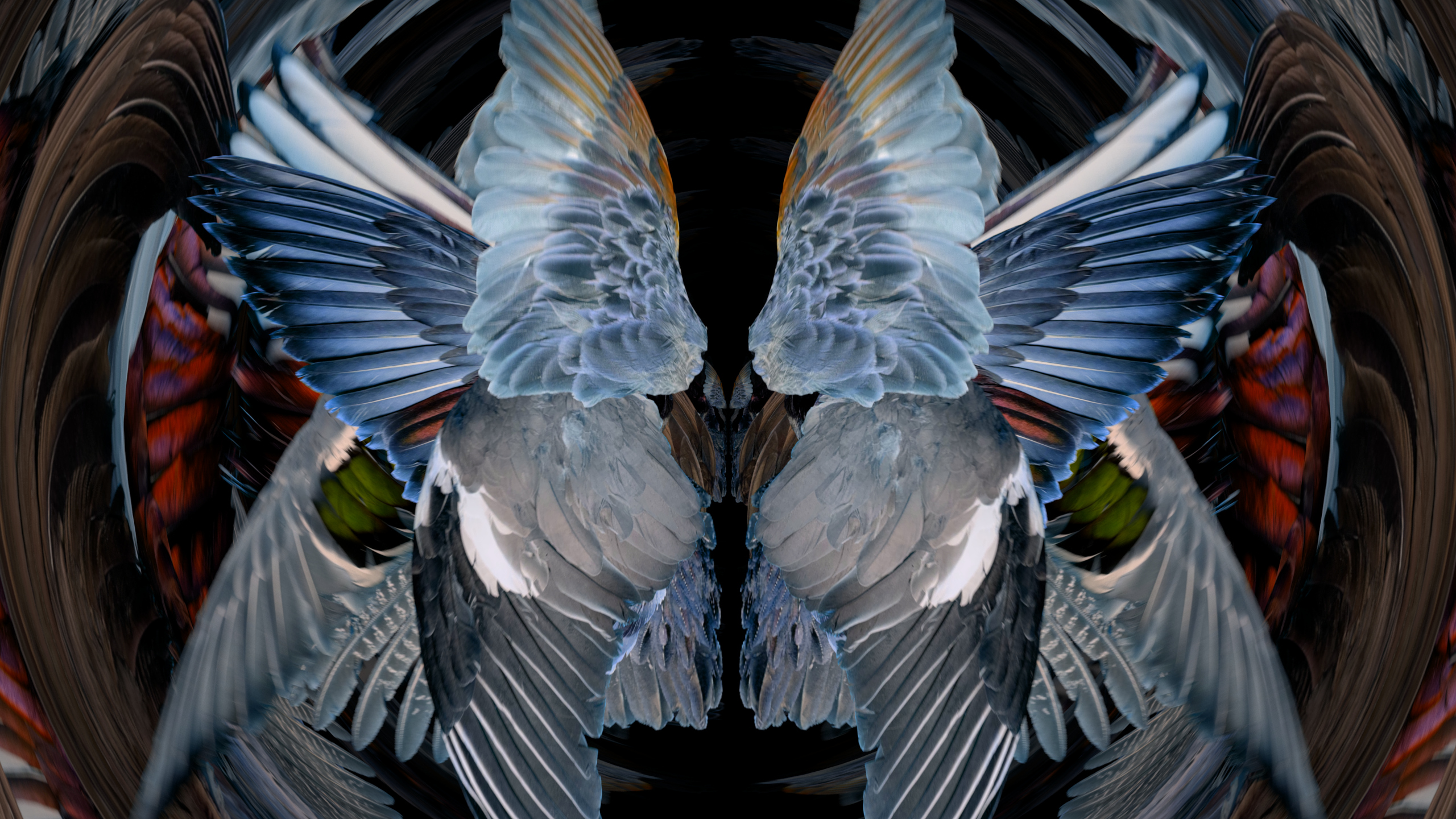 Fuga delle Sirene XXVI