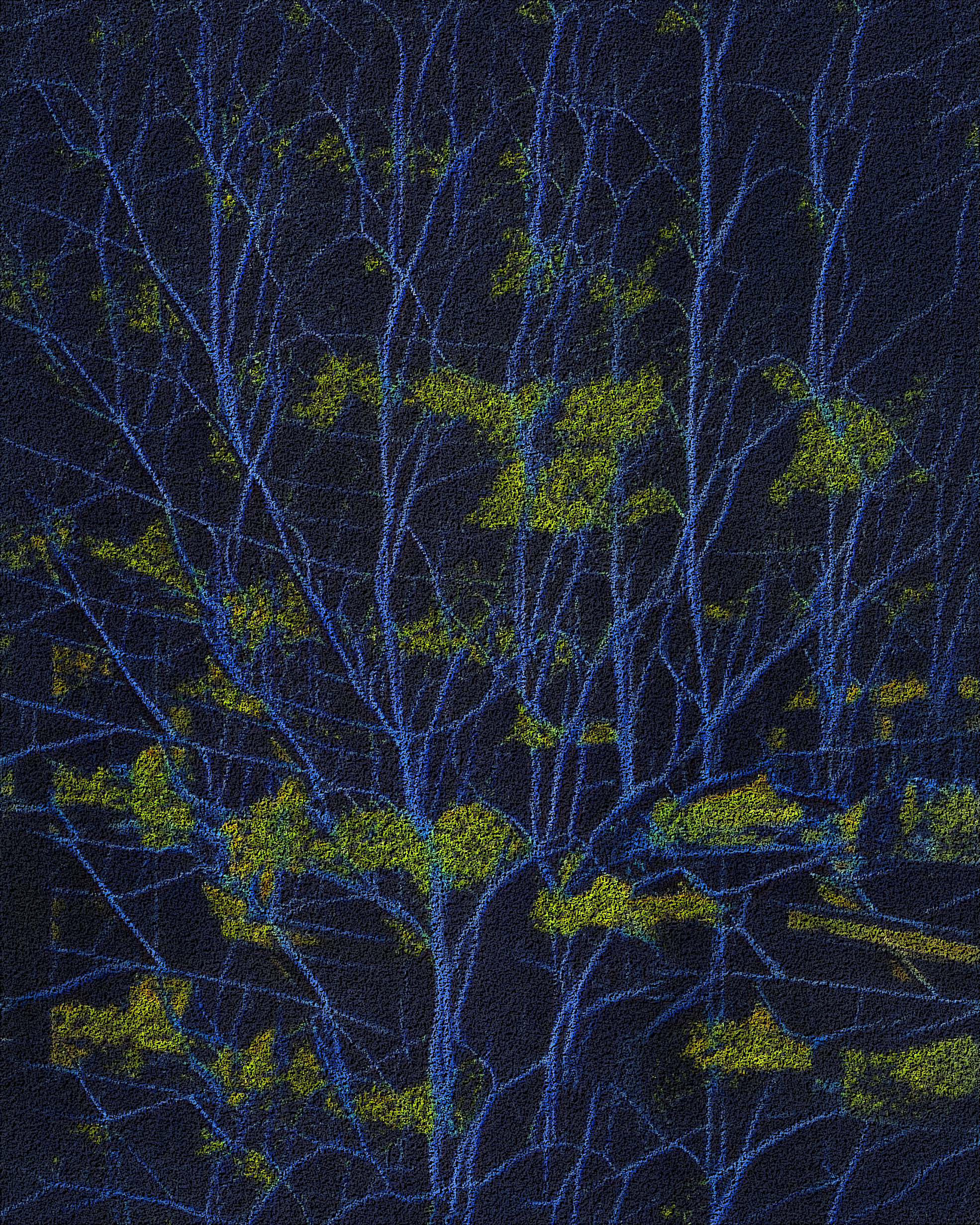 Nondescriptives | #88