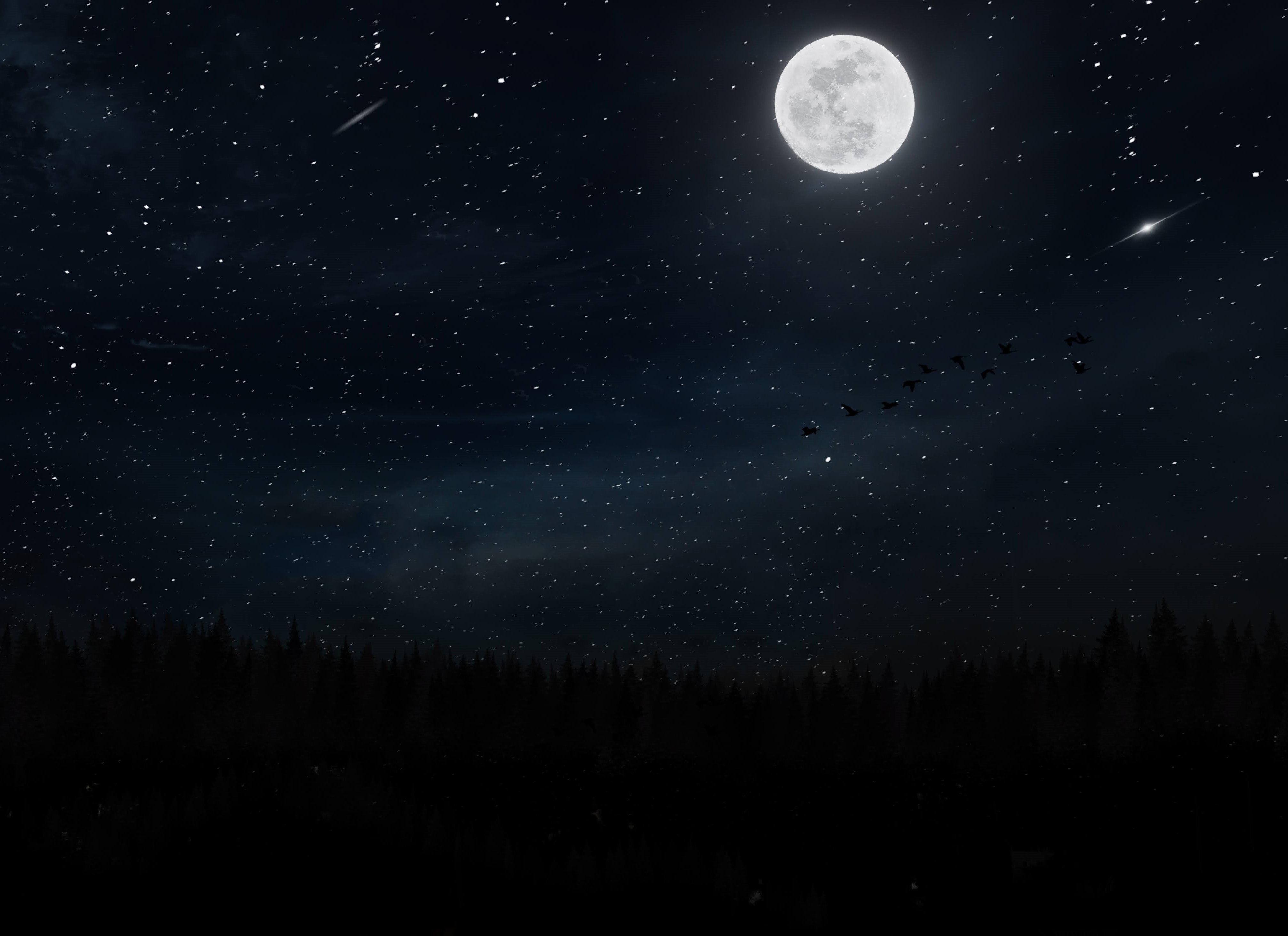 Night Sky