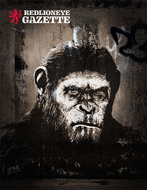 𝐑𝐄𝐃𝐋𝐈𝐎𝐍𝐄𝐘𝐄 𝐆𝐀𝐙𝐄𝐓𝐓𝐄 #𝟐𝟑