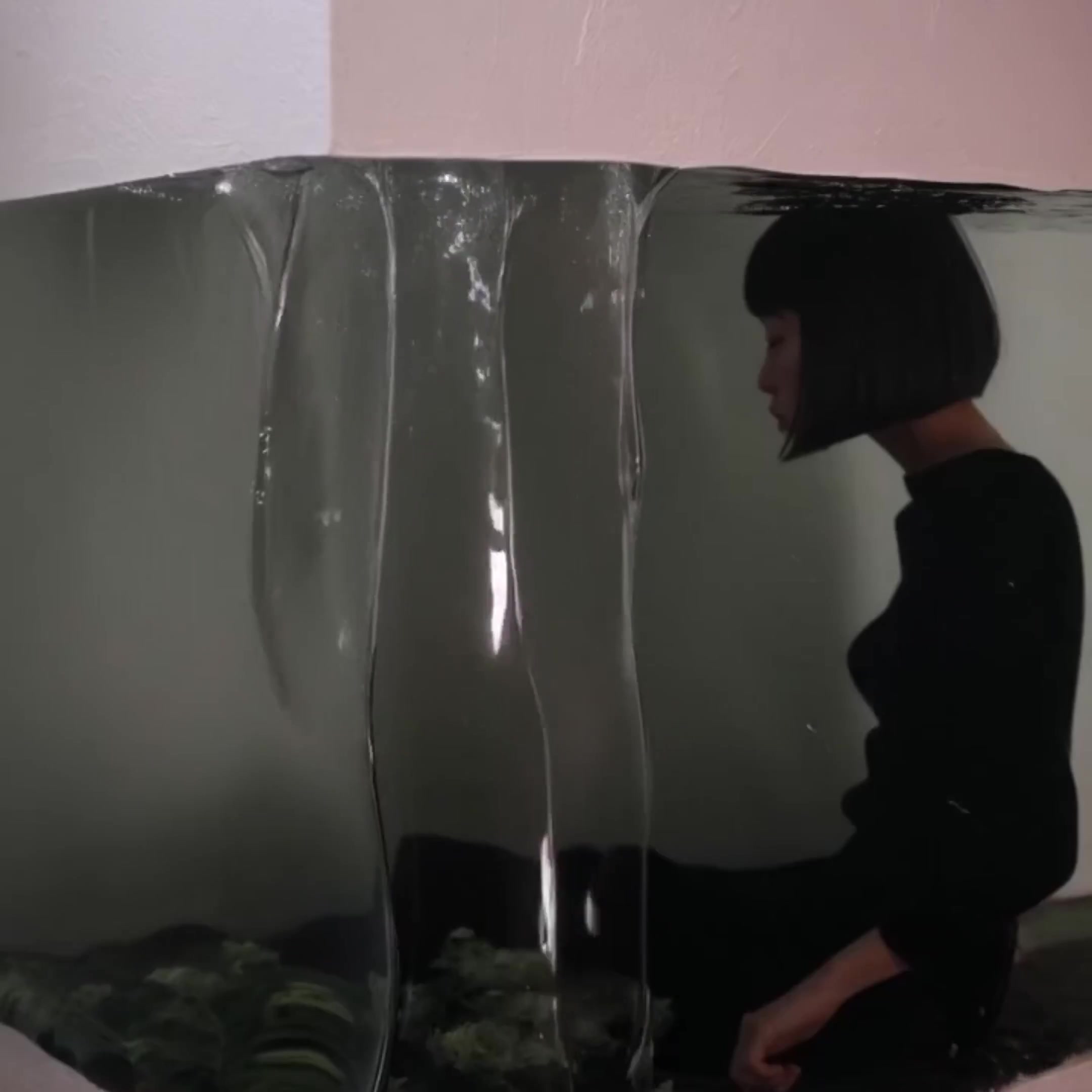 Paraquatic Flow