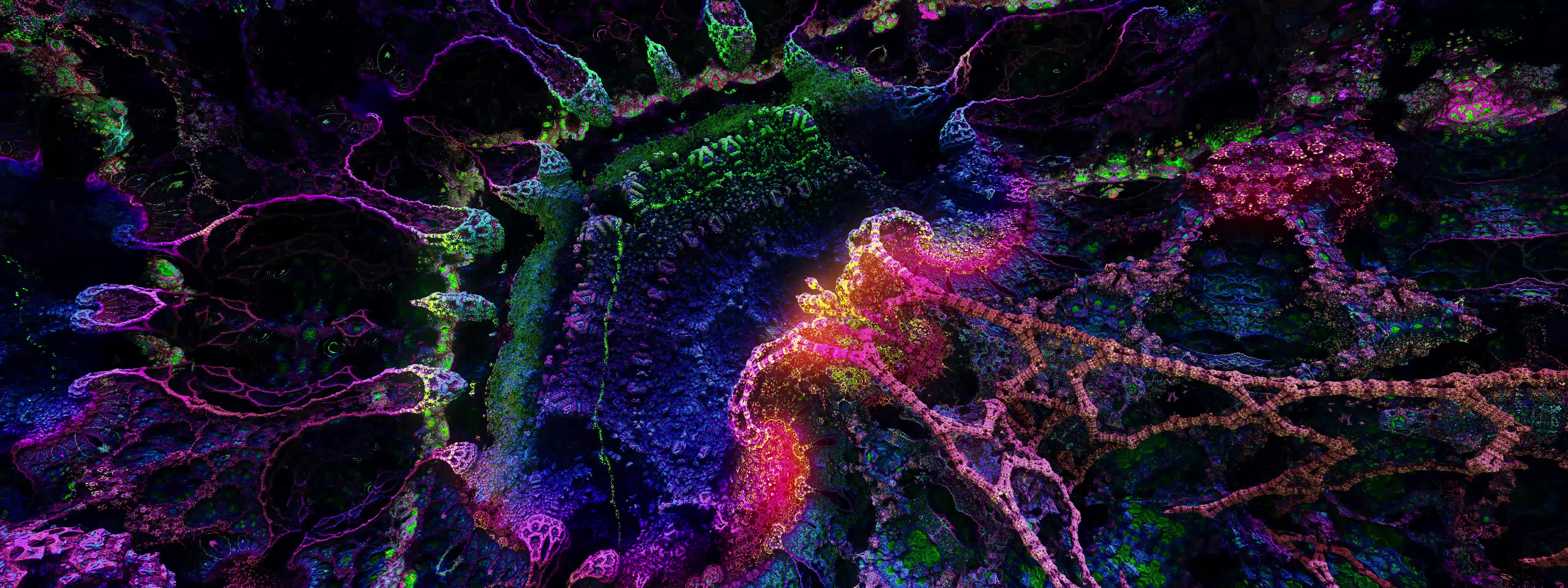 Intricate Julia #12/25