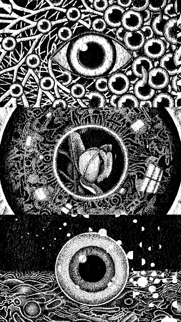 Open Eyes (Flower) #12/20