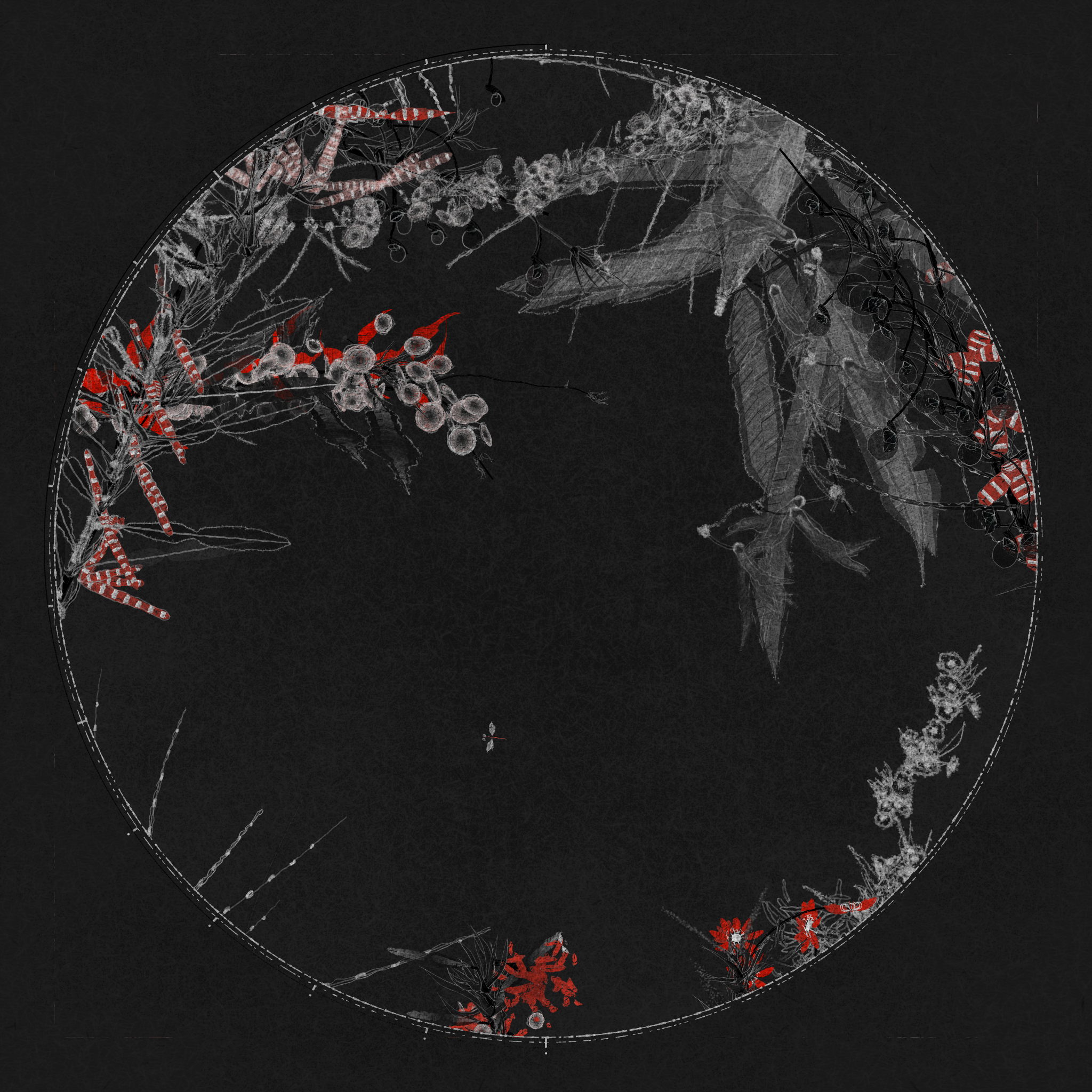 Polypaths | 植徑集 #72