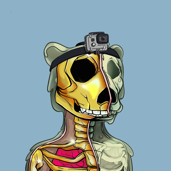 Zombie Okay Bear #2592