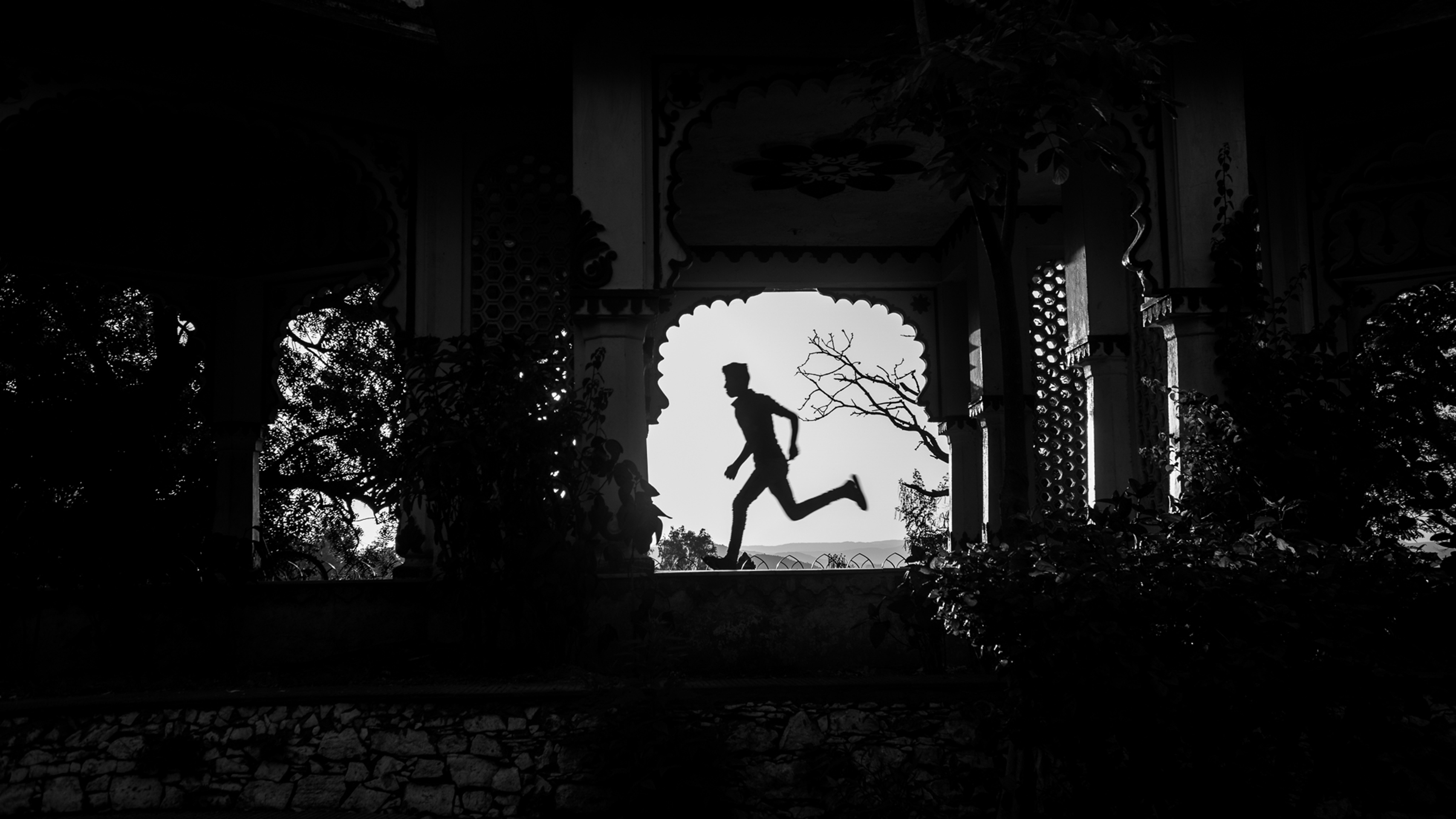 Run of Life