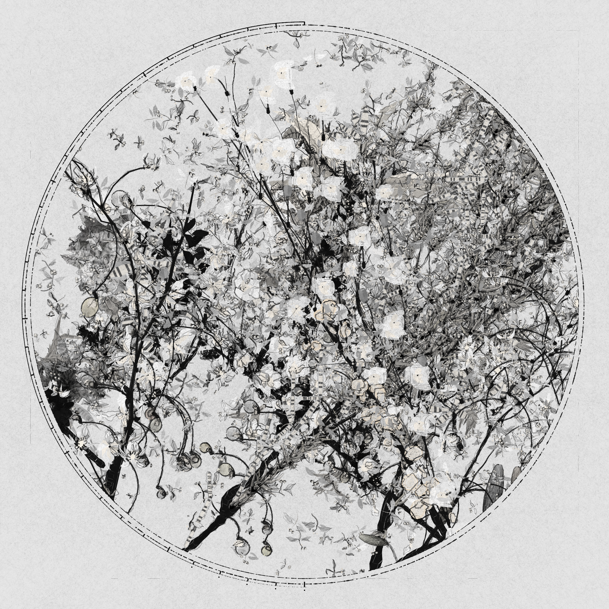 Polypaths | 植徑集 #549