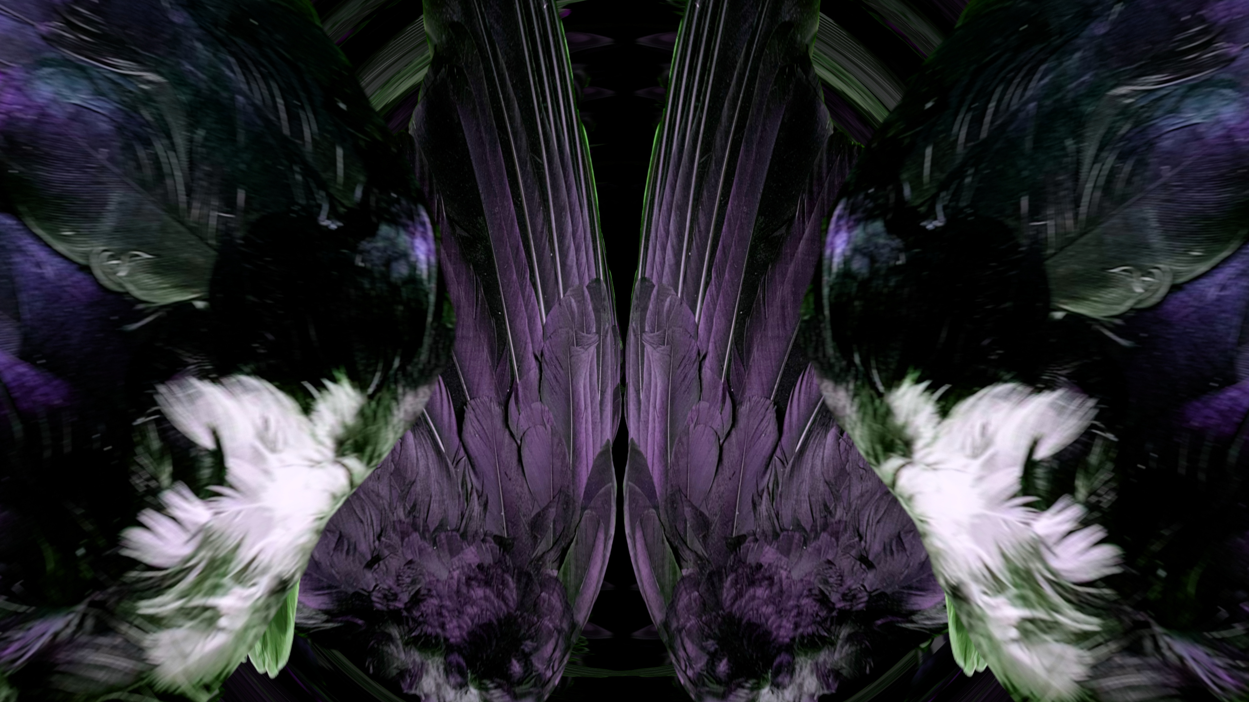 Fuga delle Sirene LXXV