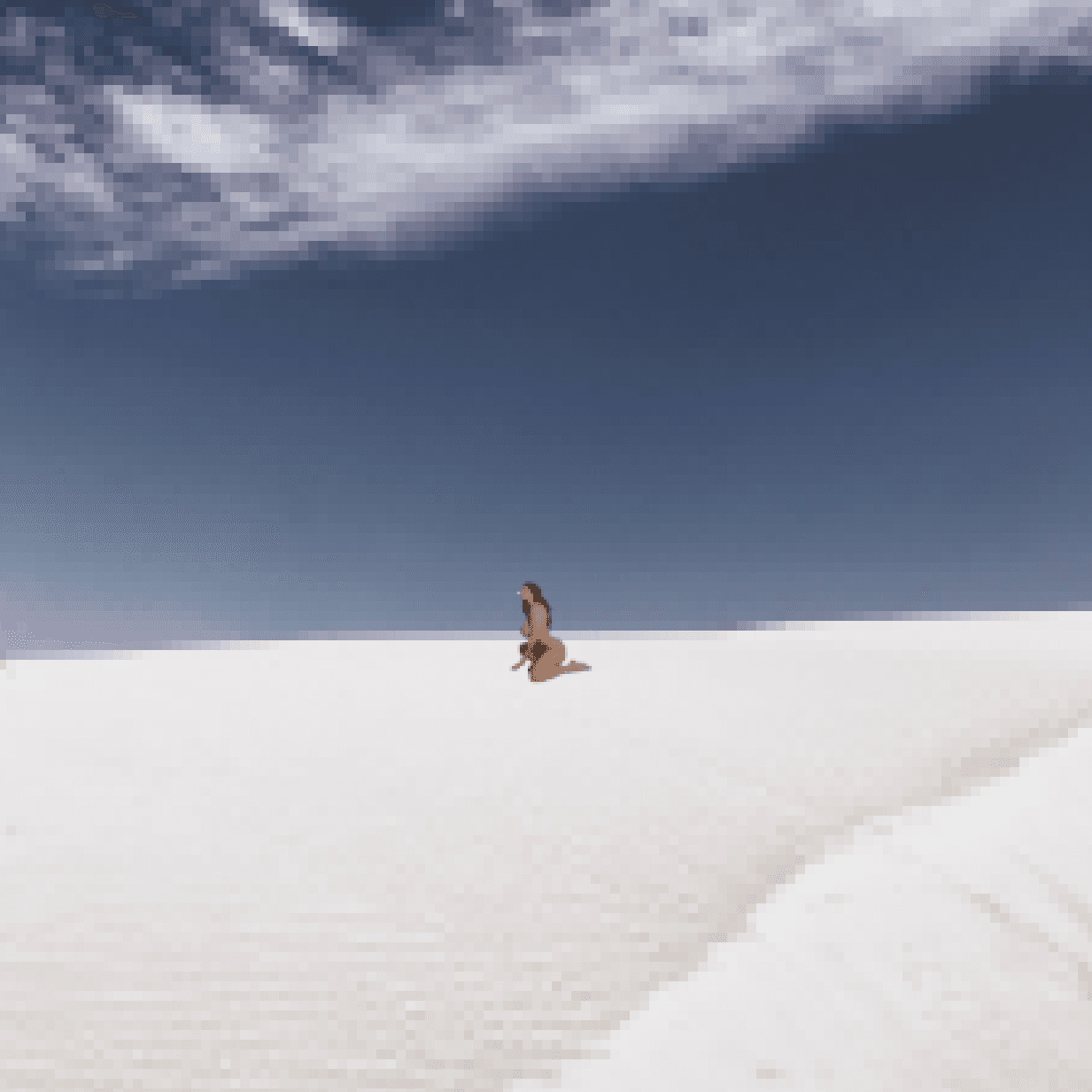 Nude Pixels in Nature_024