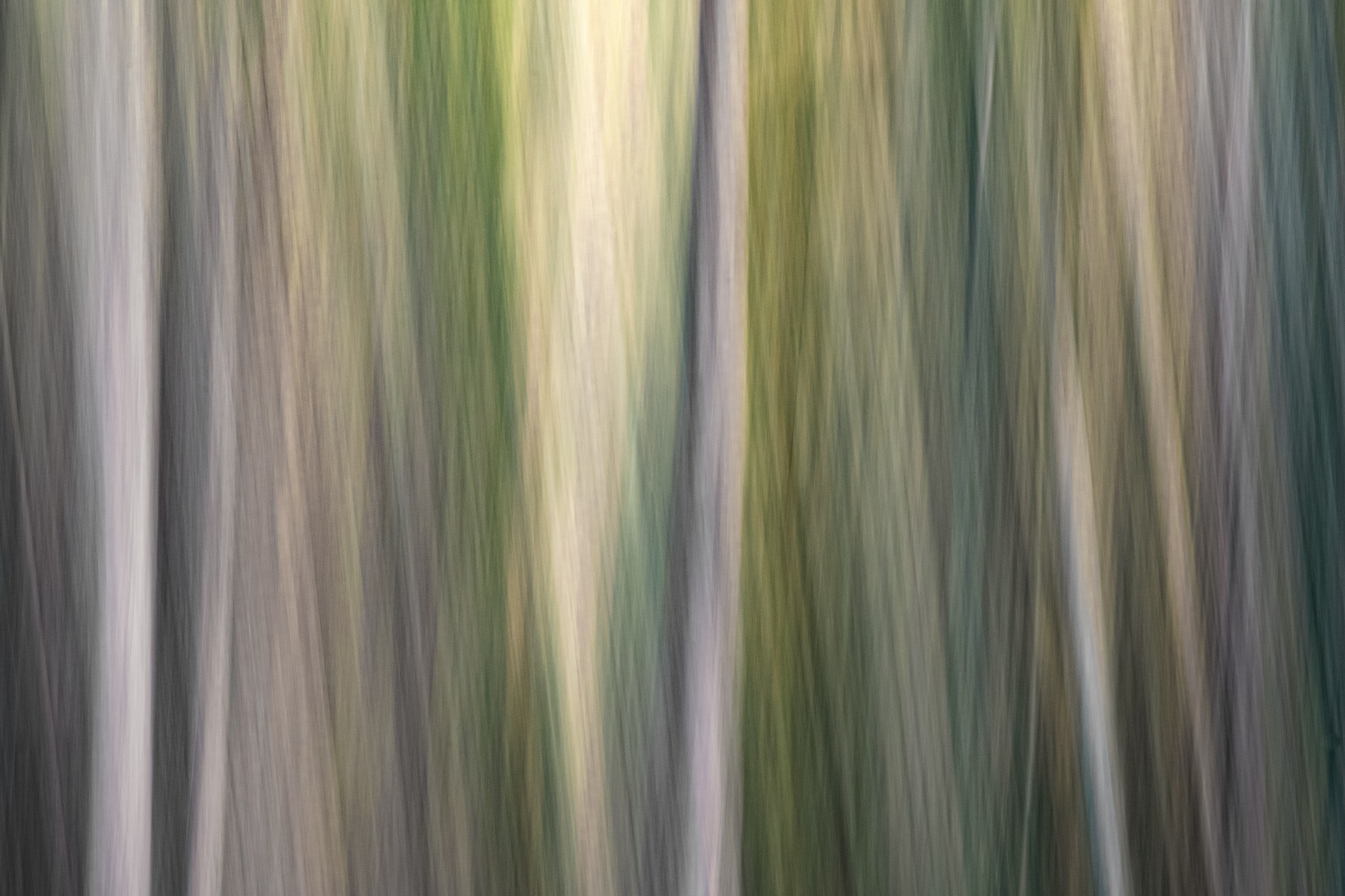 The Ghosts of Elowah #1