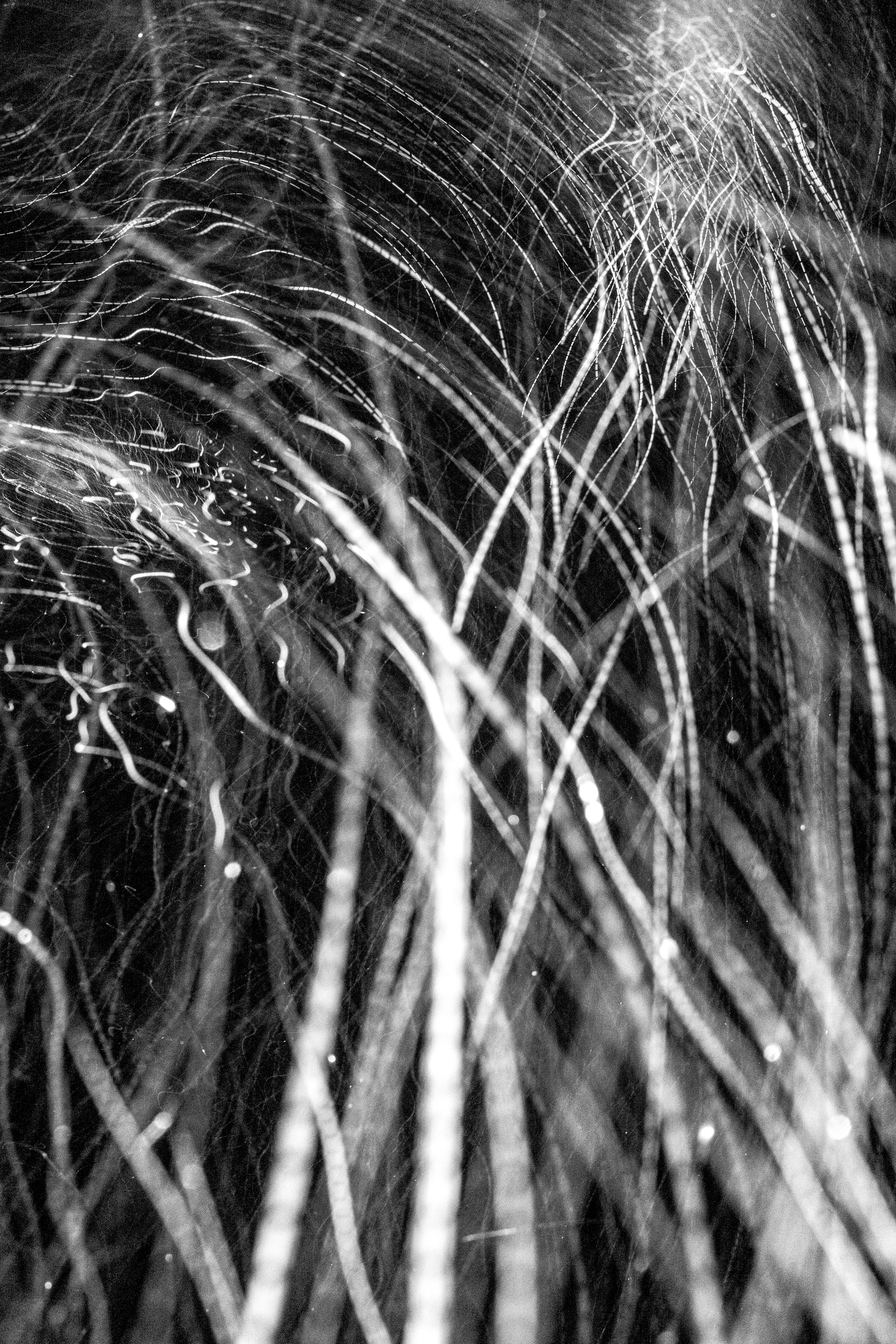 L1210376 : An omen of the skies