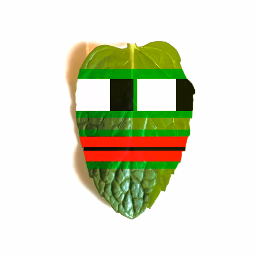 Freemint Pepe CLEAN
