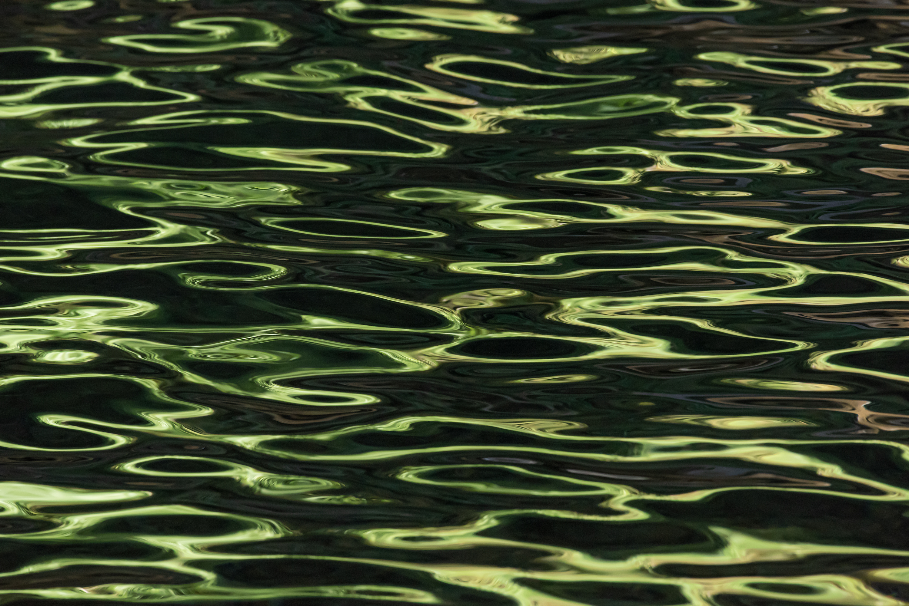 Ebb and Flow #85