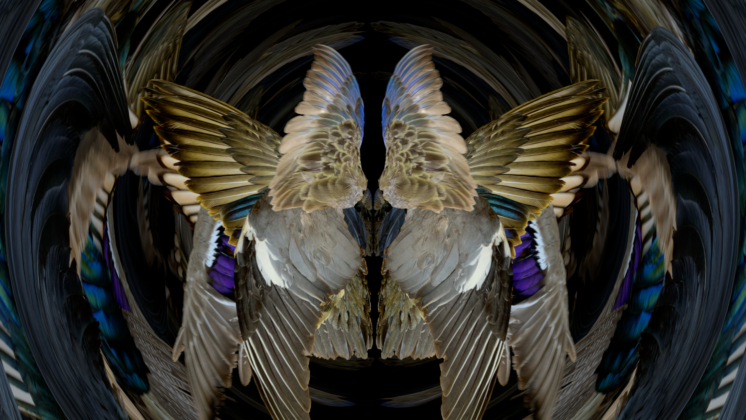 Fuga delle Sirene IV