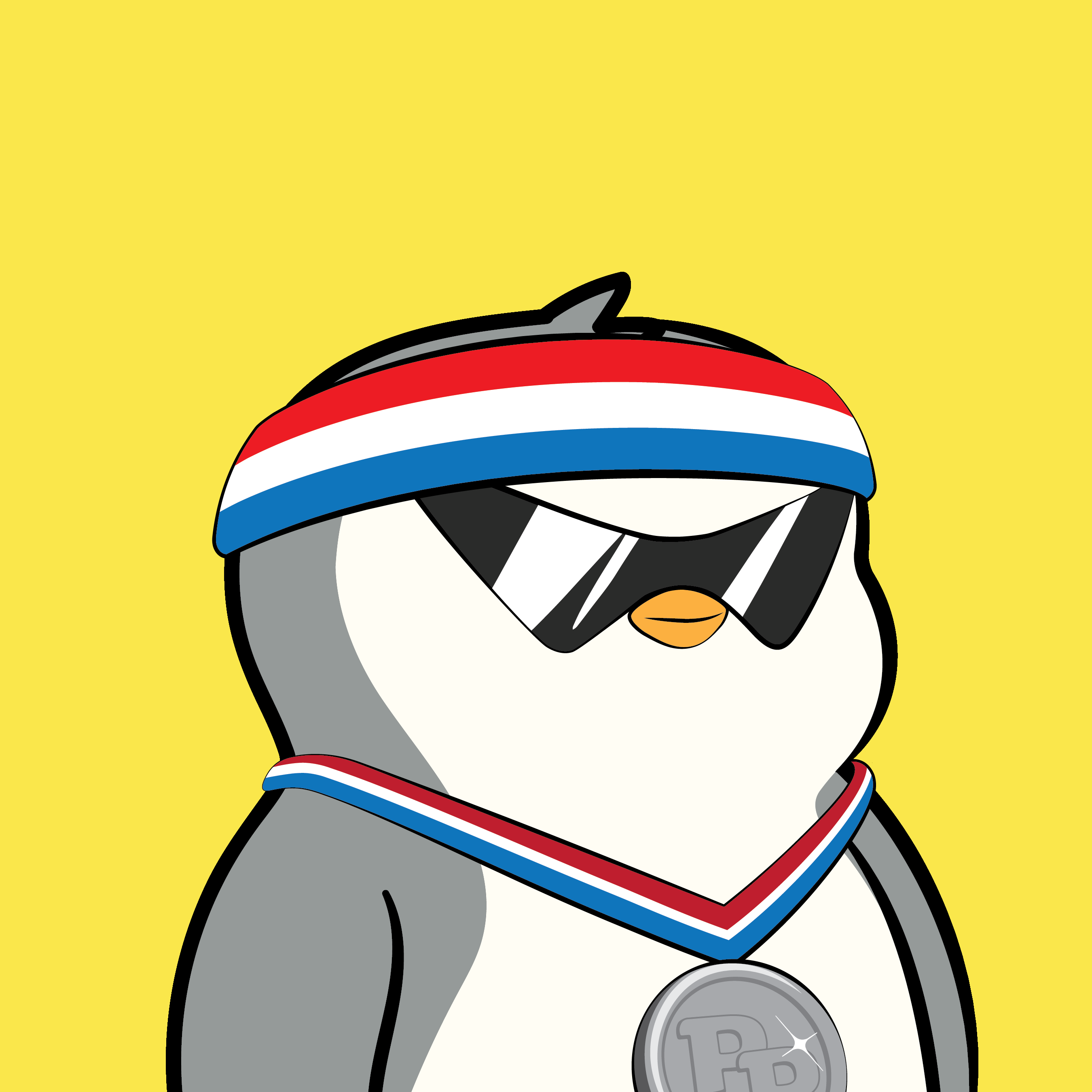 Pudgy Penguin #852