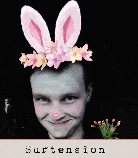 Tulips and Flying PowerBuster 