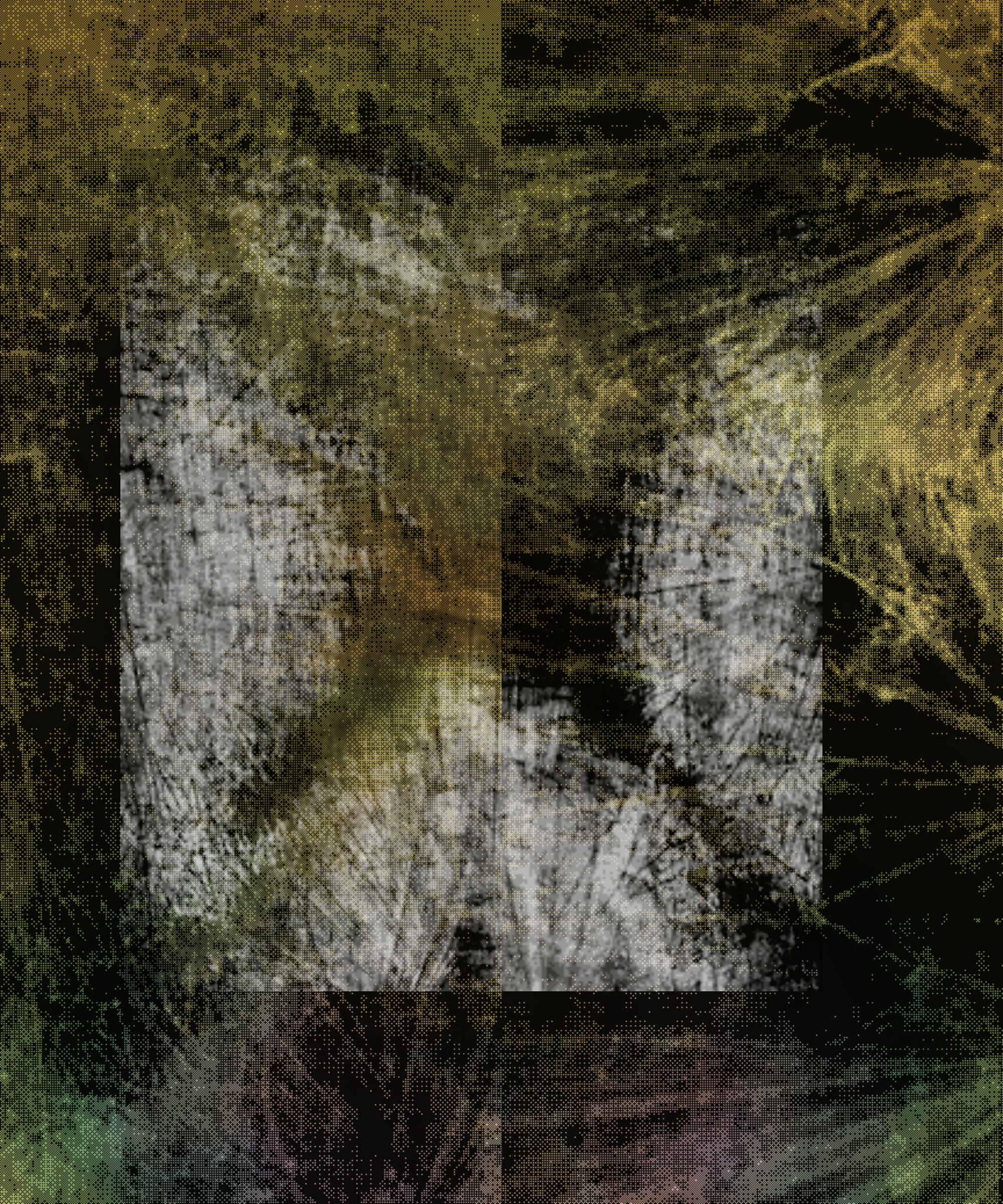 the spring begins with the first rainstorm #326