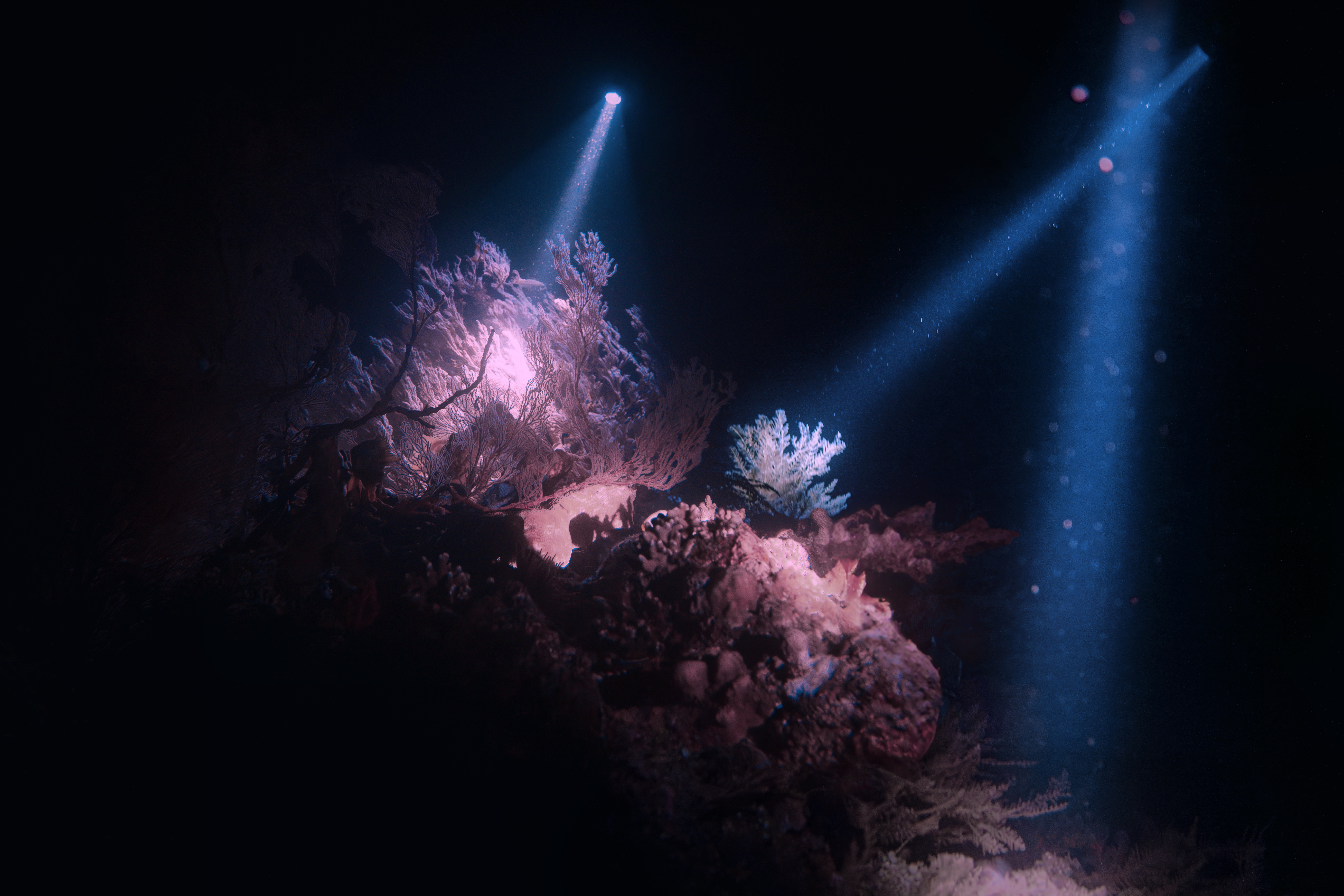 Subastral Constellations