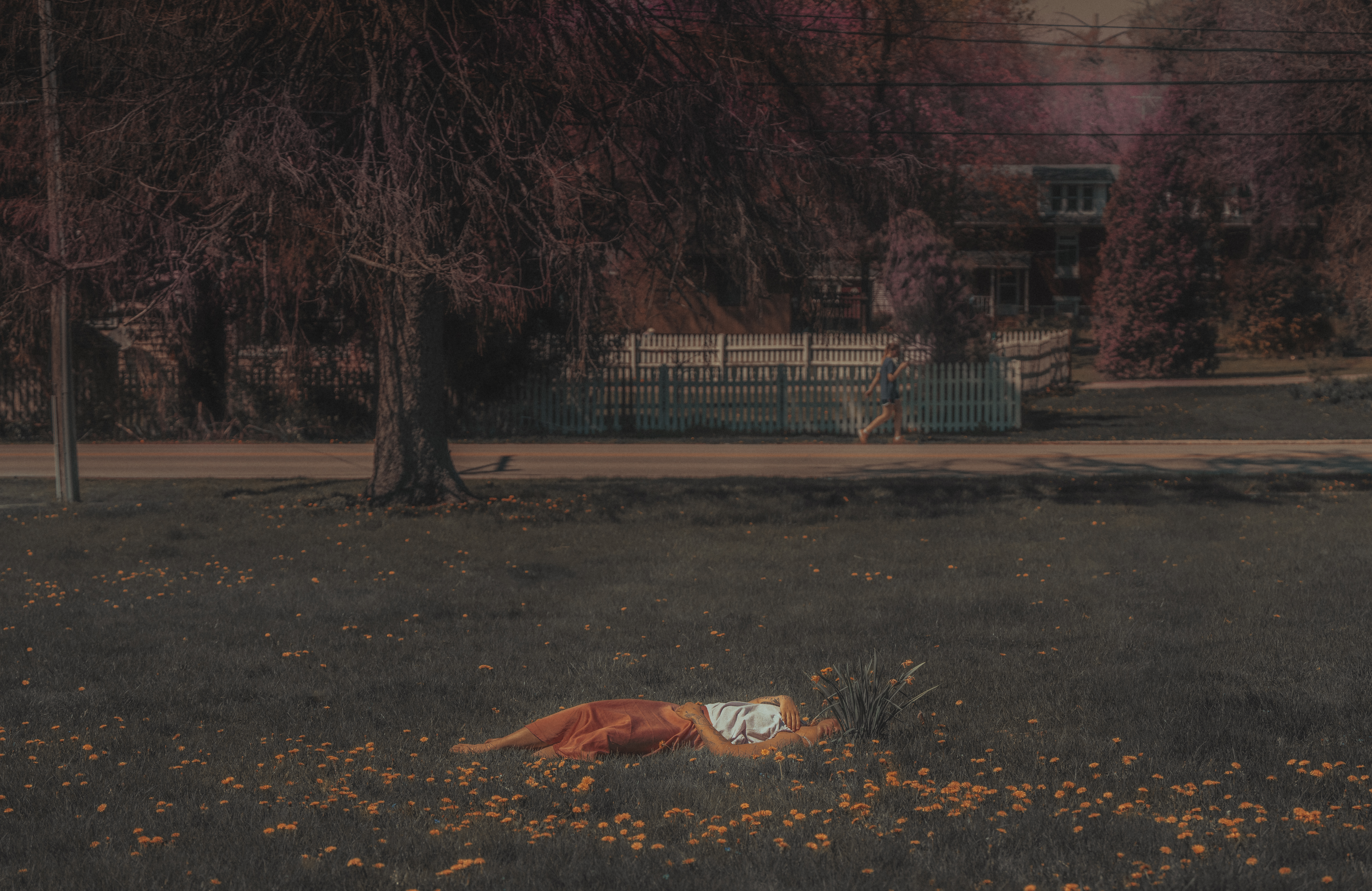 As I Wilt - Alizé Jireh