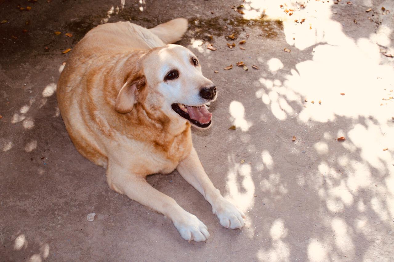 farukbonsfluidos.eth Ethereum Name Service (ENS and .eth domain) PFP