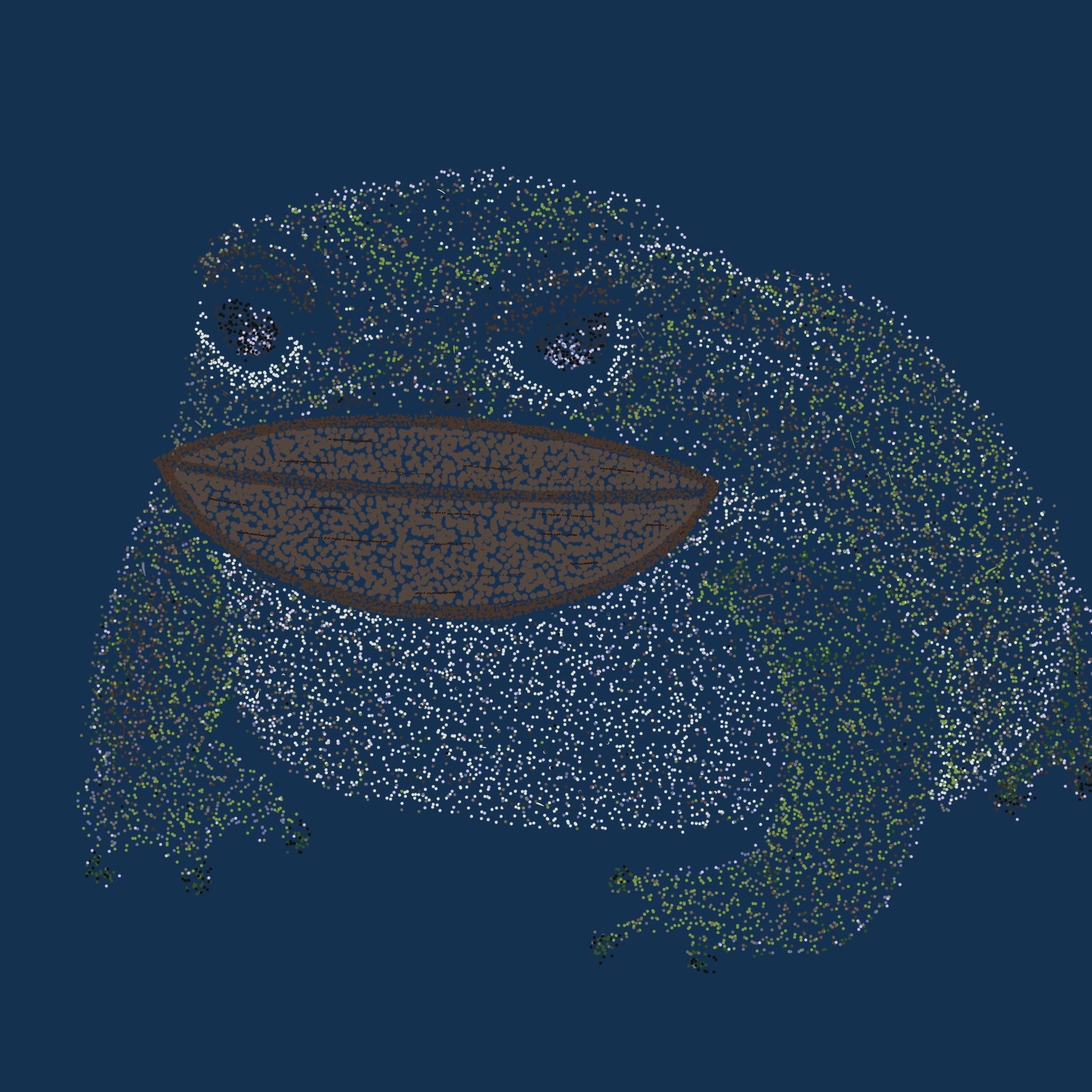 Pointed Realism ToadBoat