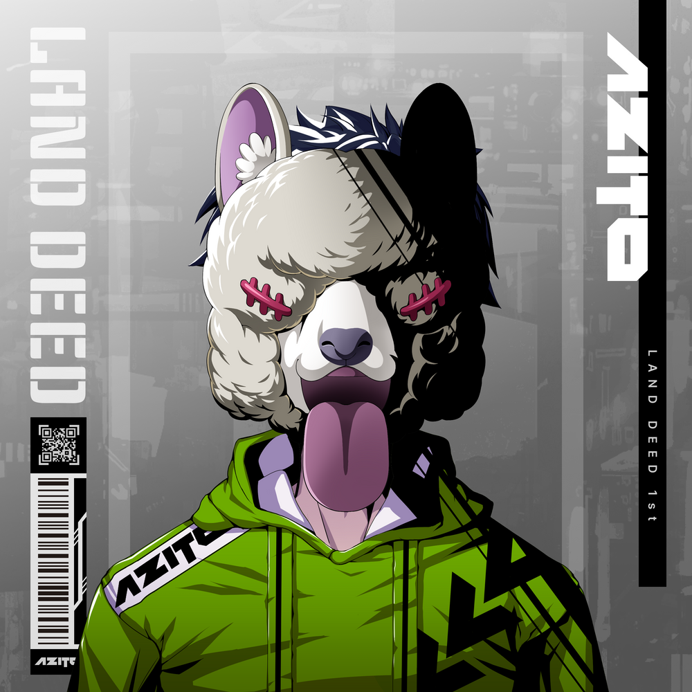 AZITO Land Deed #2863