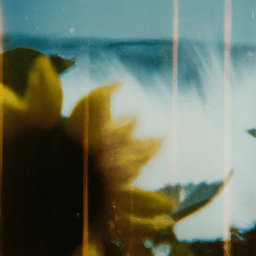 Tsunflower Chaos #158