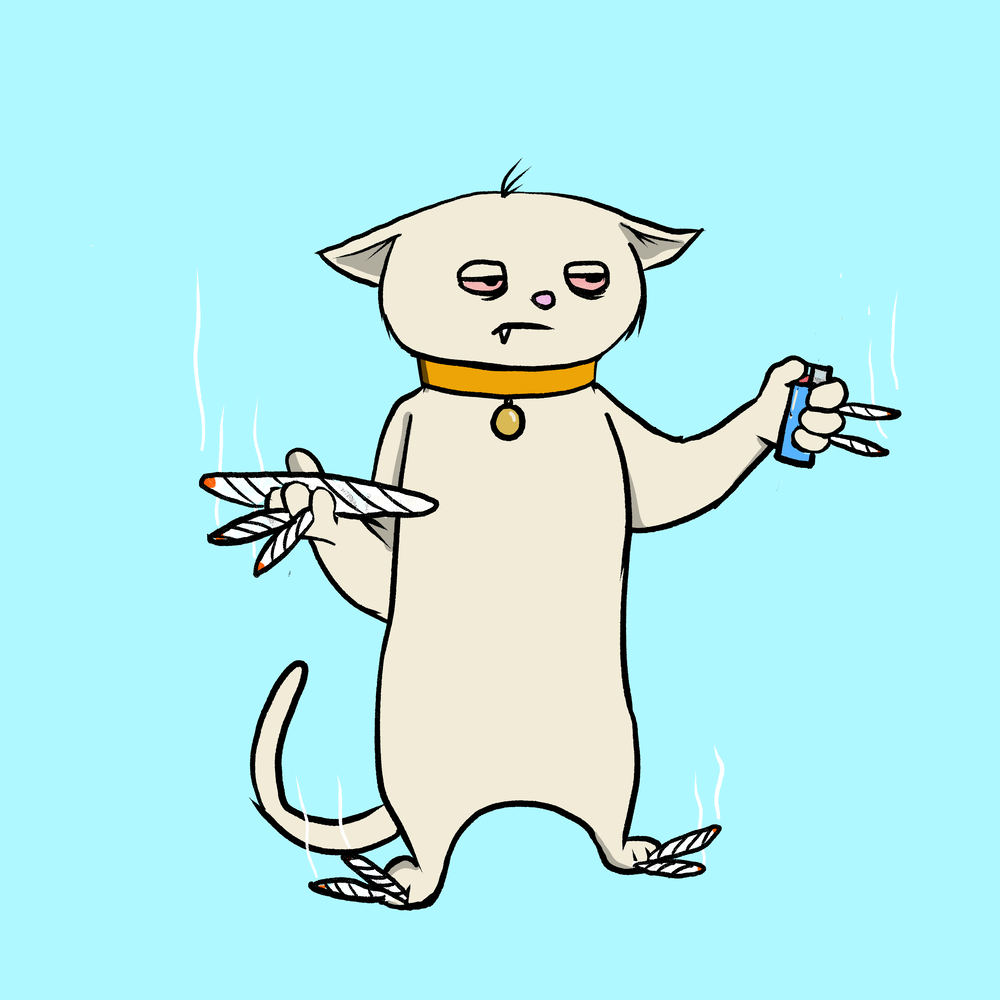 Blazed Cat #9589