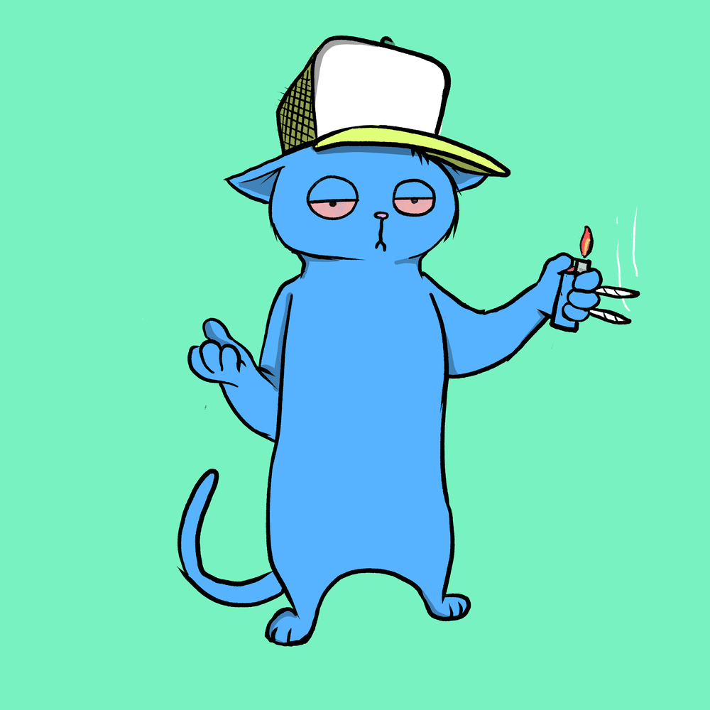 Blazed Cat #9584