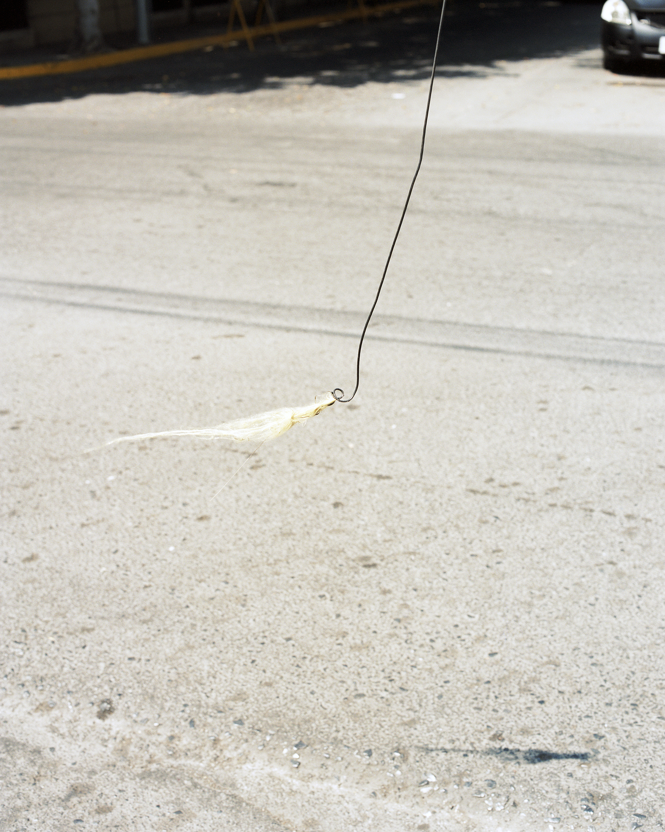 Blonde Hair On A Wire