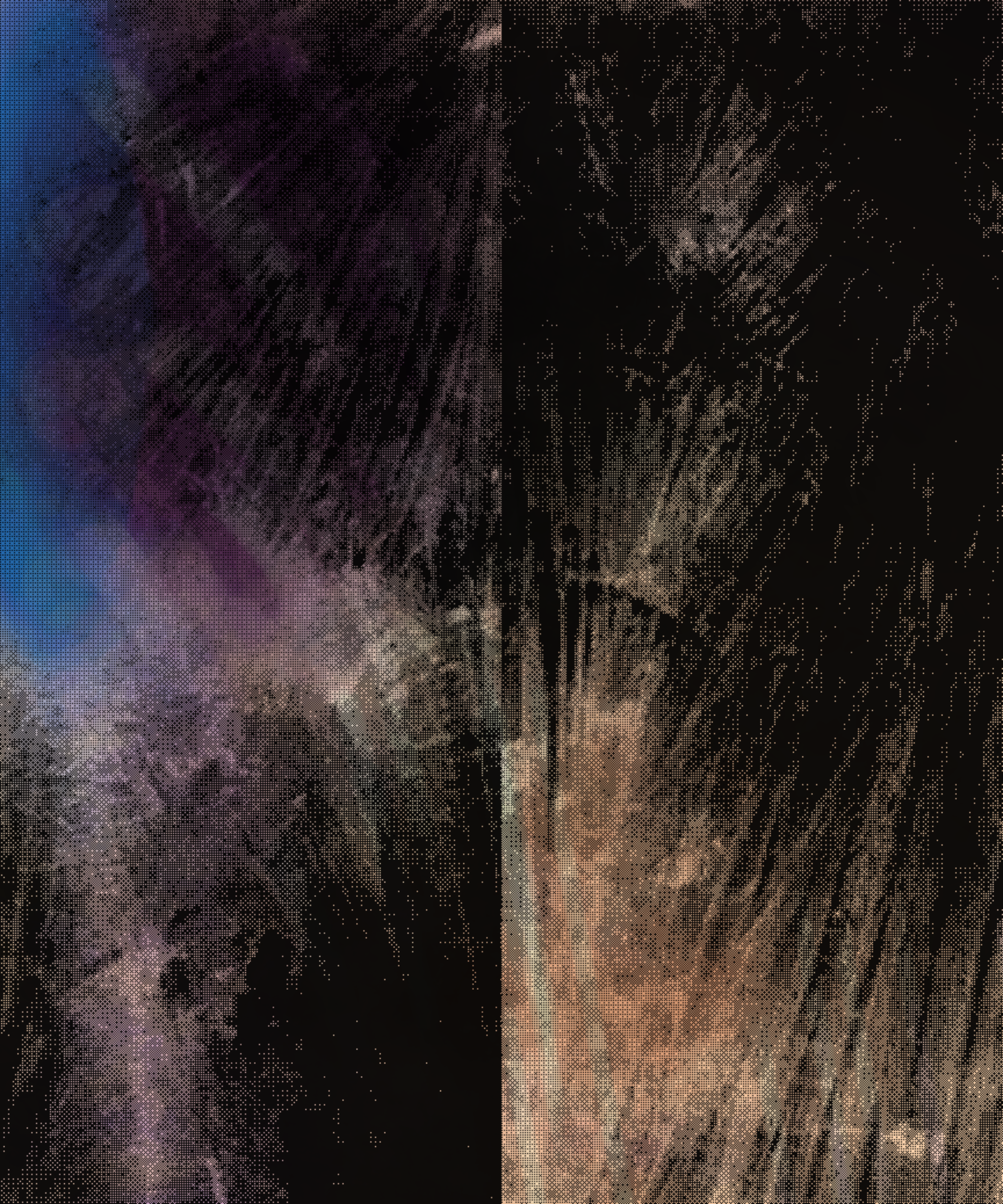 the spring begins with the first rainstorm #166